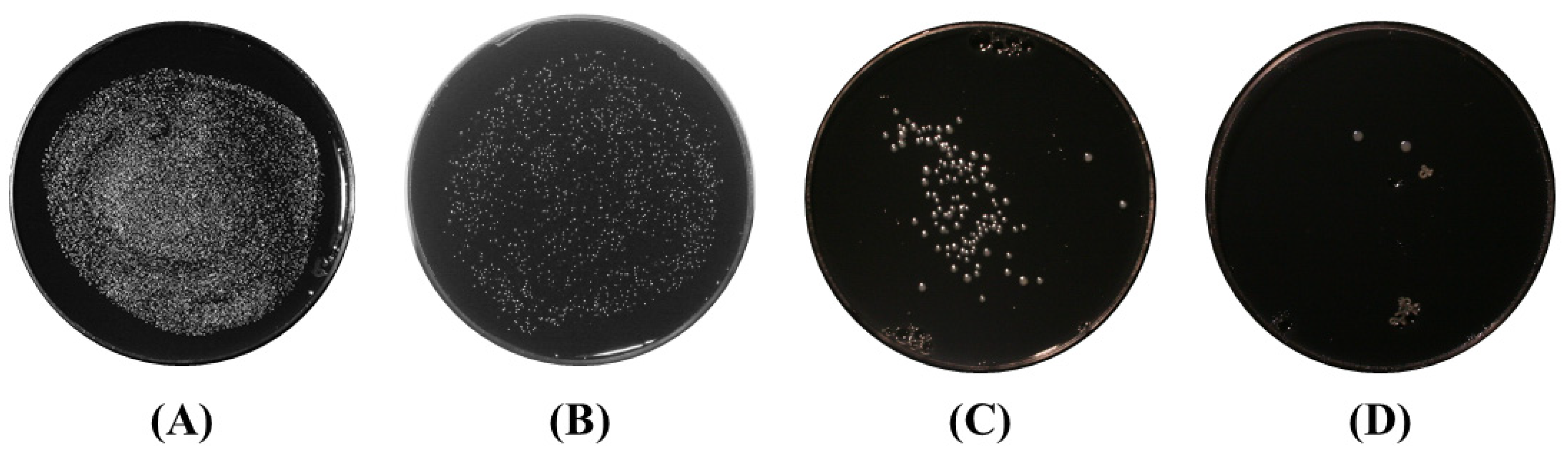 Applsci 12 04711 g006