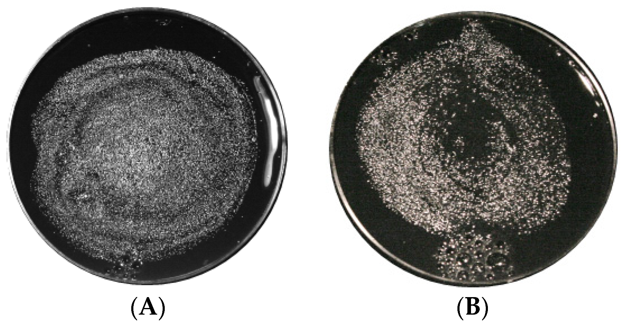 Applsci 12 04711 g007