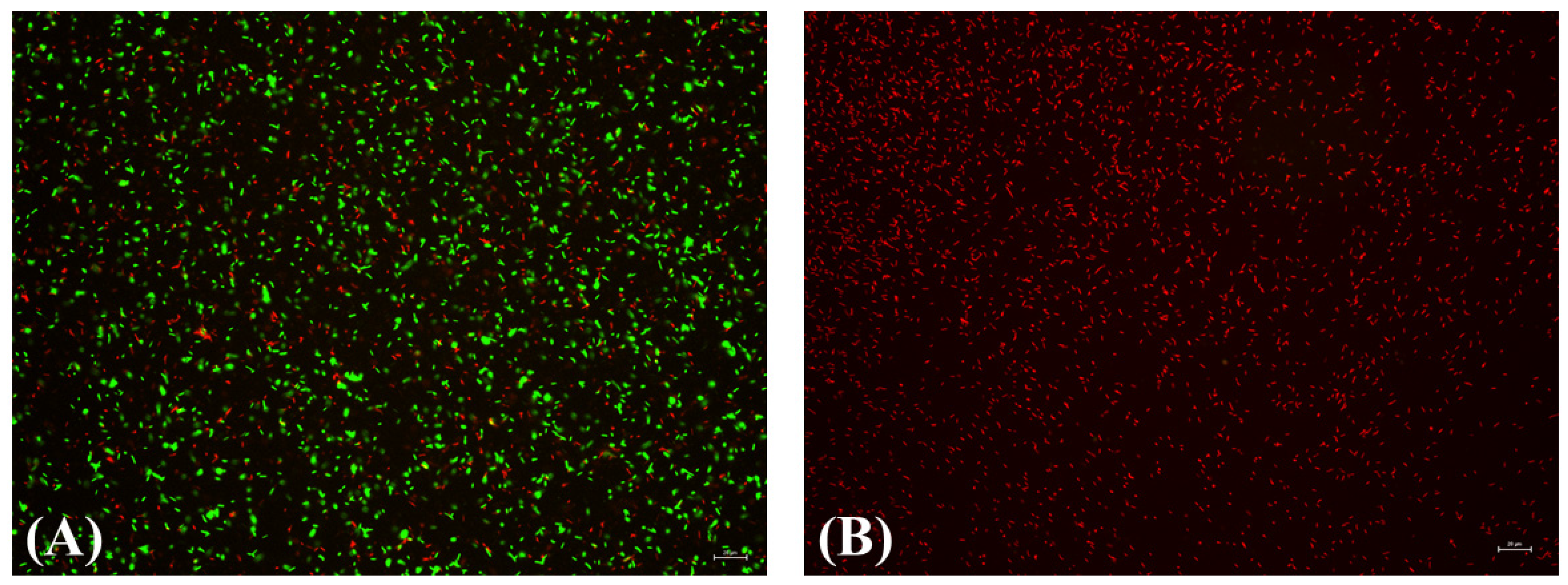 Applsci 12 04711 g008