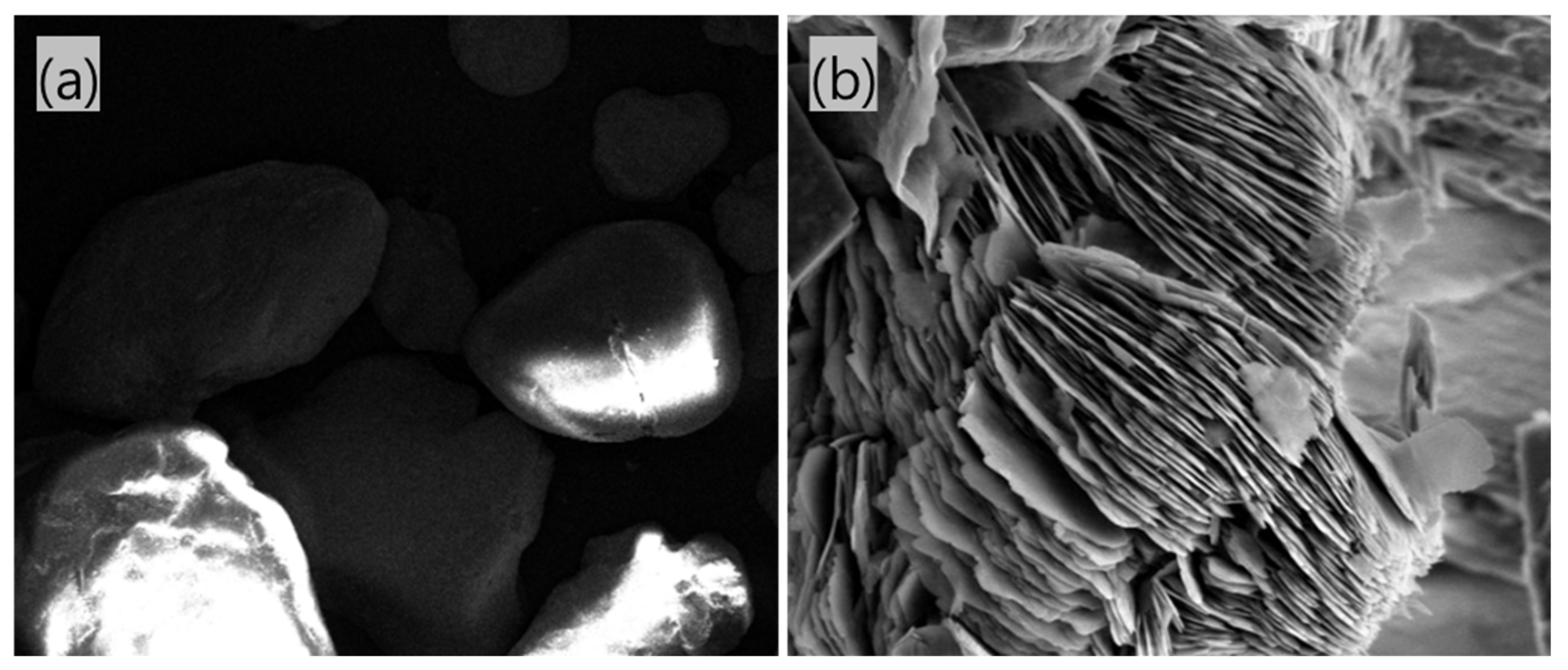 Applsci 12 06050 g010