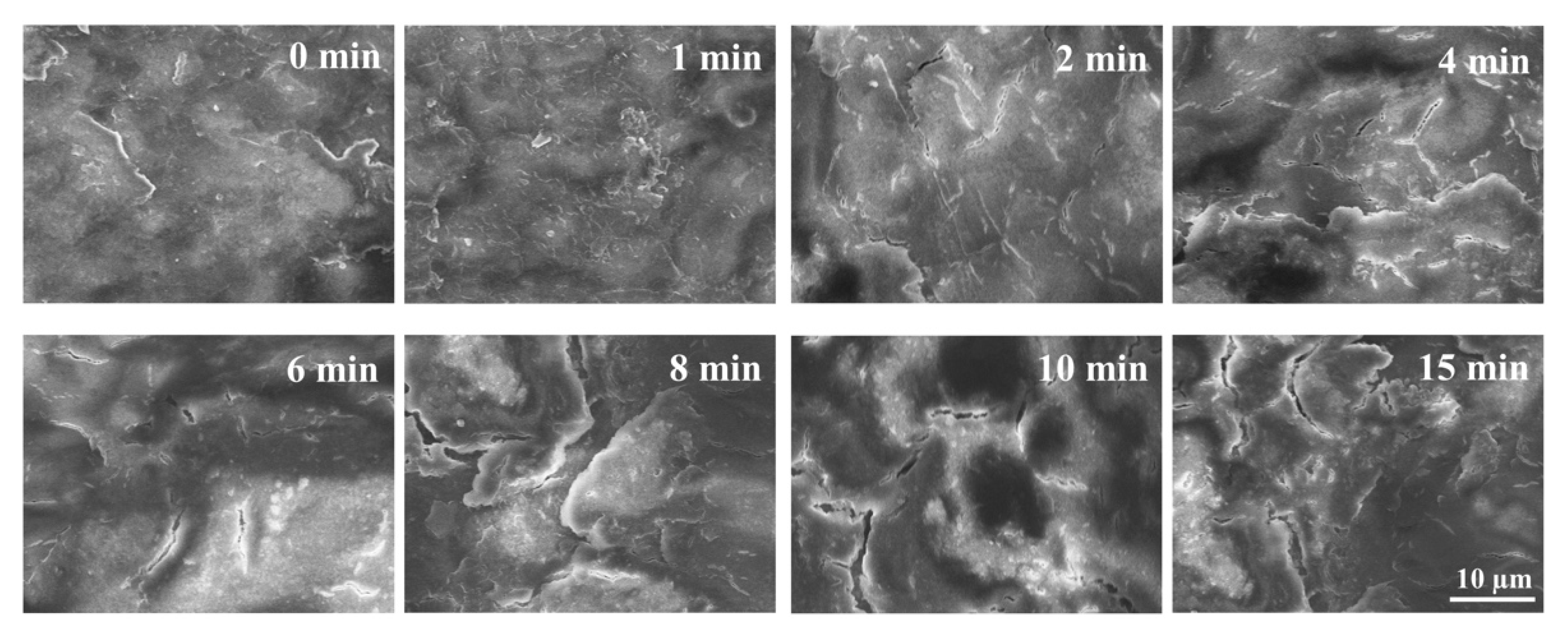 Applsci 12 10308 g003