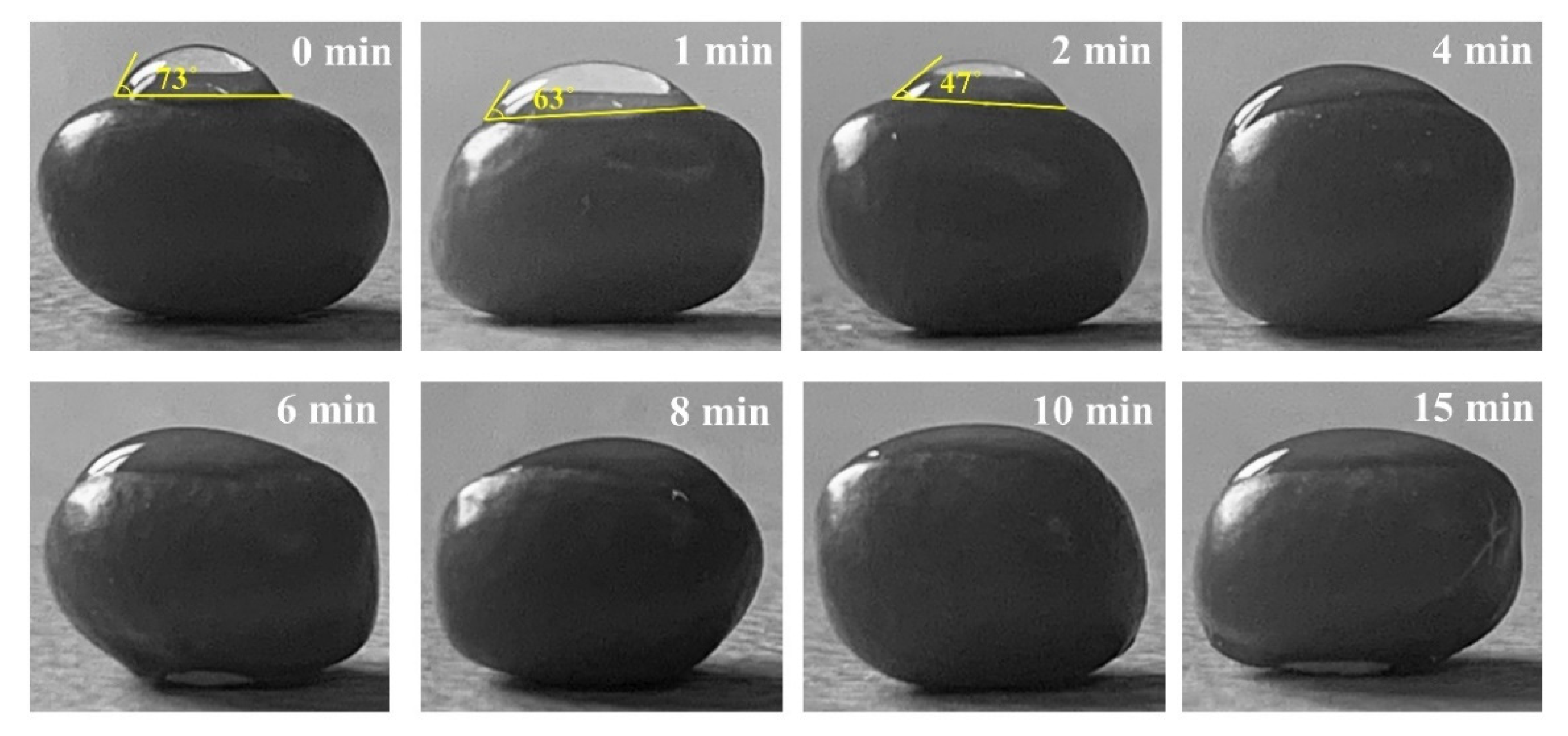 Applsci 12 10308 g004