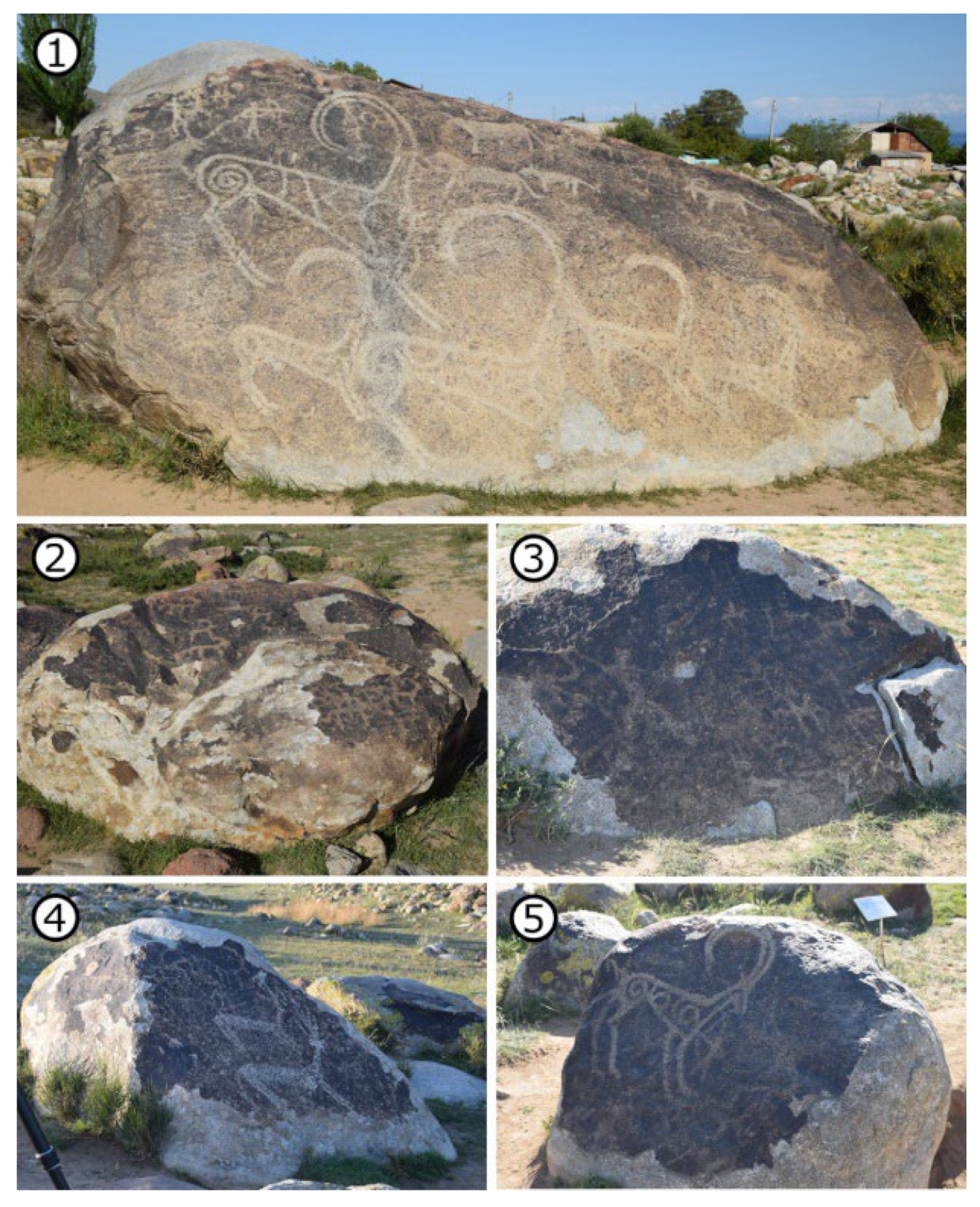 Applsci 12 10521 g007