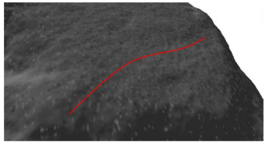 Applsci 12 10521 i004