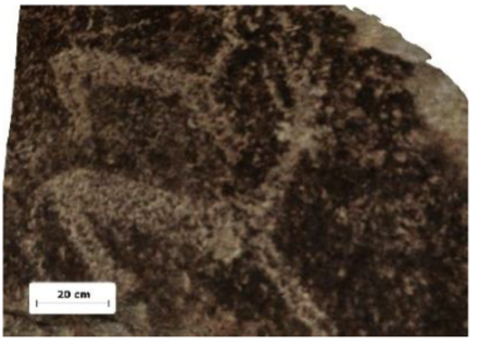 Applsci 12 10521 i007