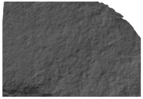 Applsci 12 10521 i008