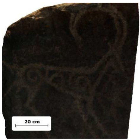 Applsci 12 10521 i009