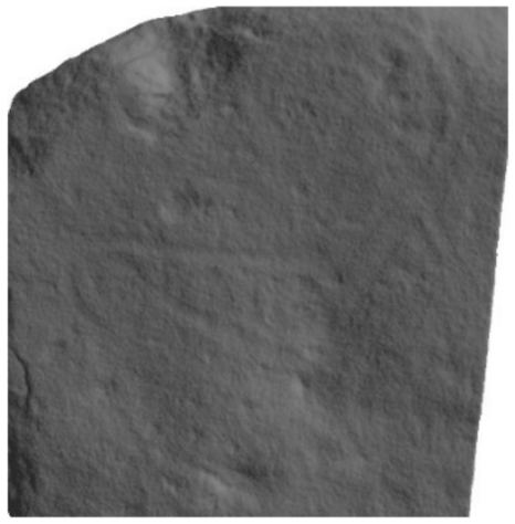 Applsci 12 10521 i010