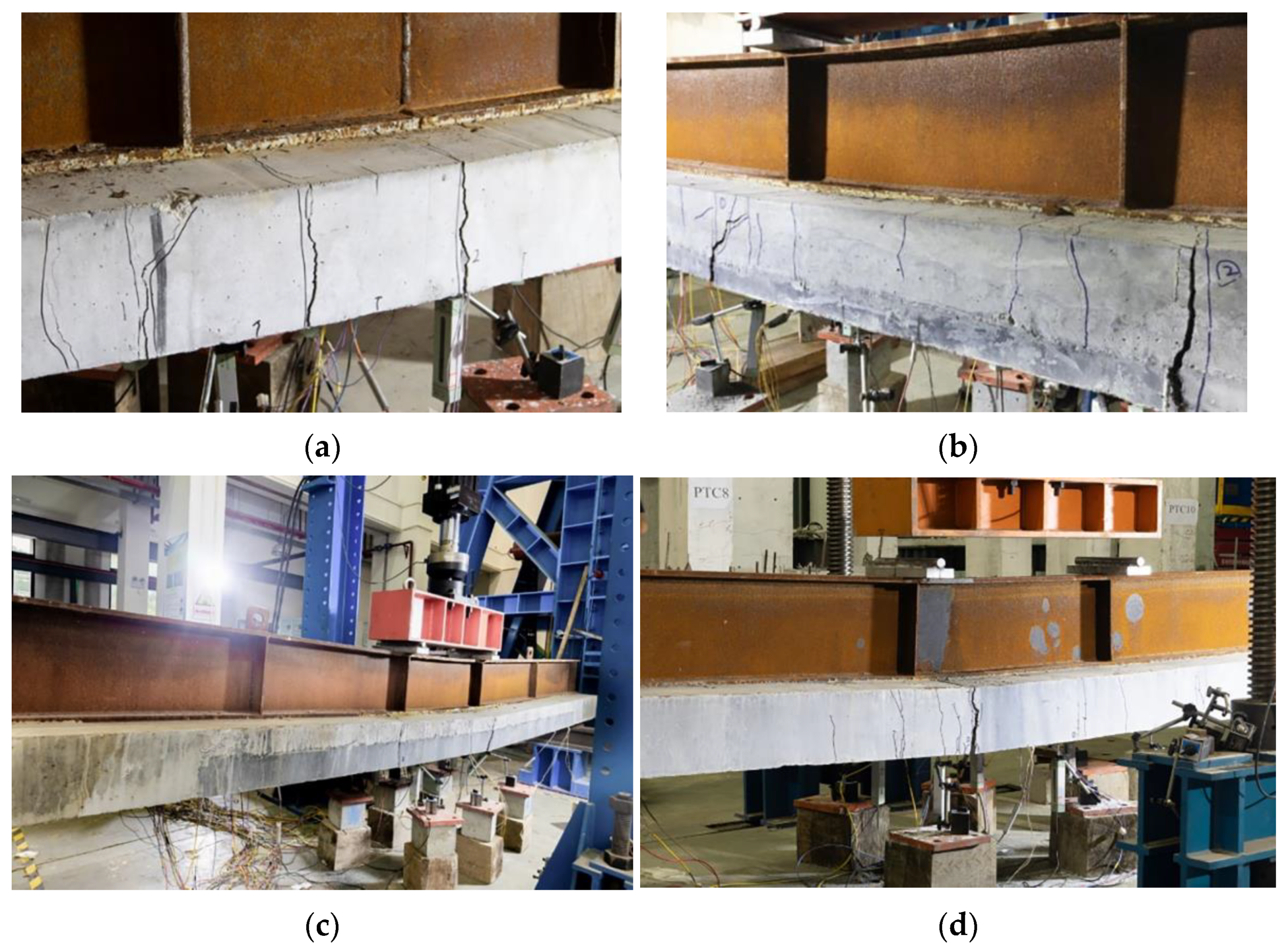 Applsci 12 11446 g006