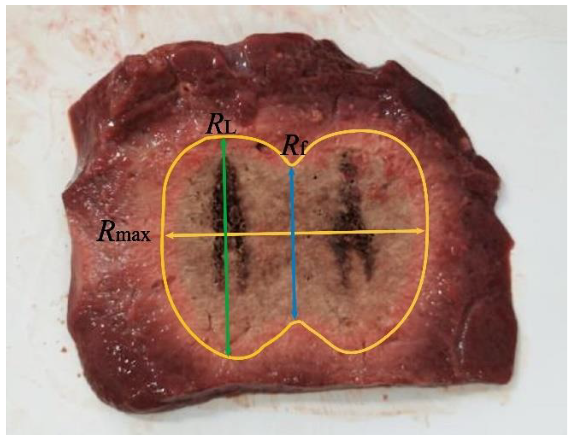 Applsci 13 00026 g003