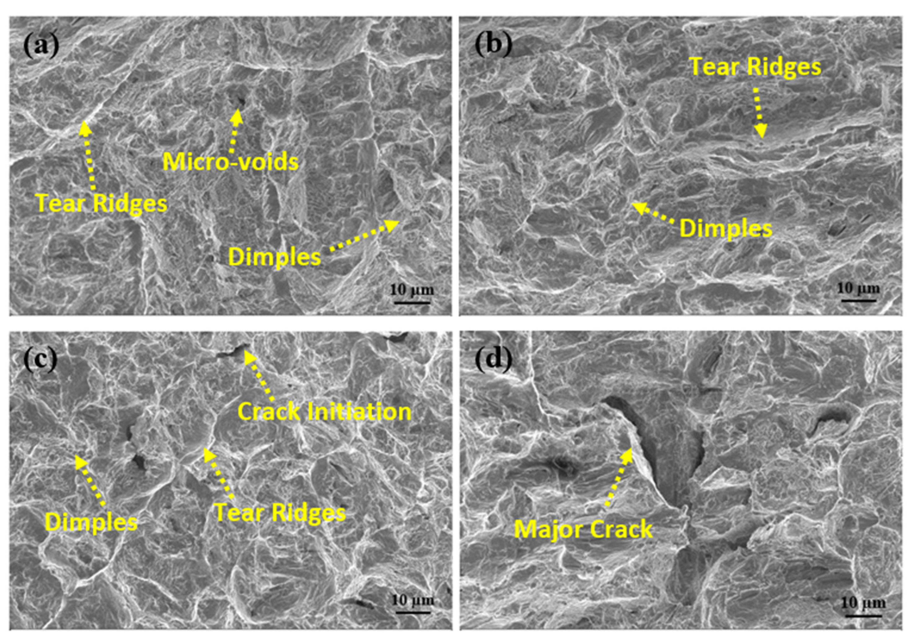 Applsci 13 01754 g017