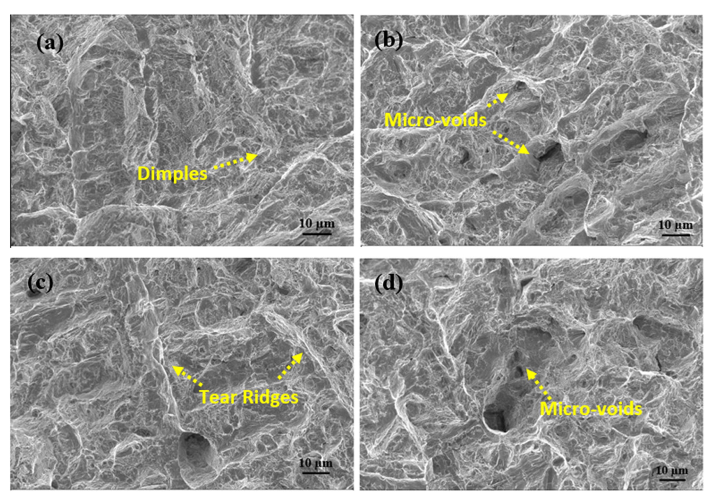 Applsci 13 01754 g018
