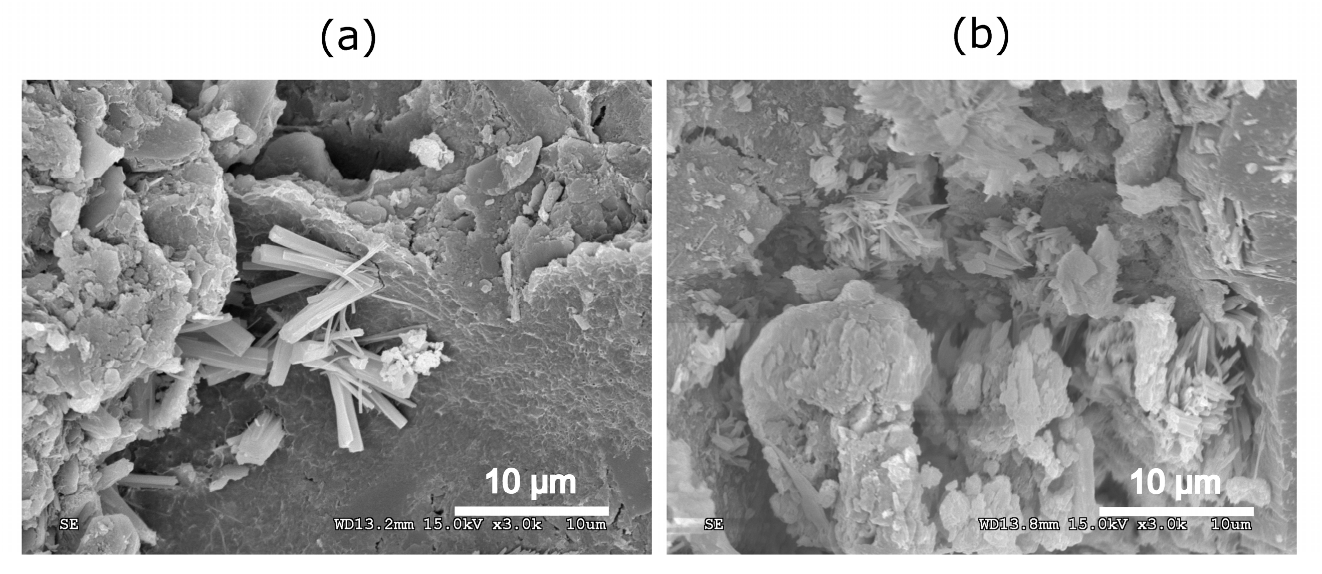 Applsci 13 02583 g011