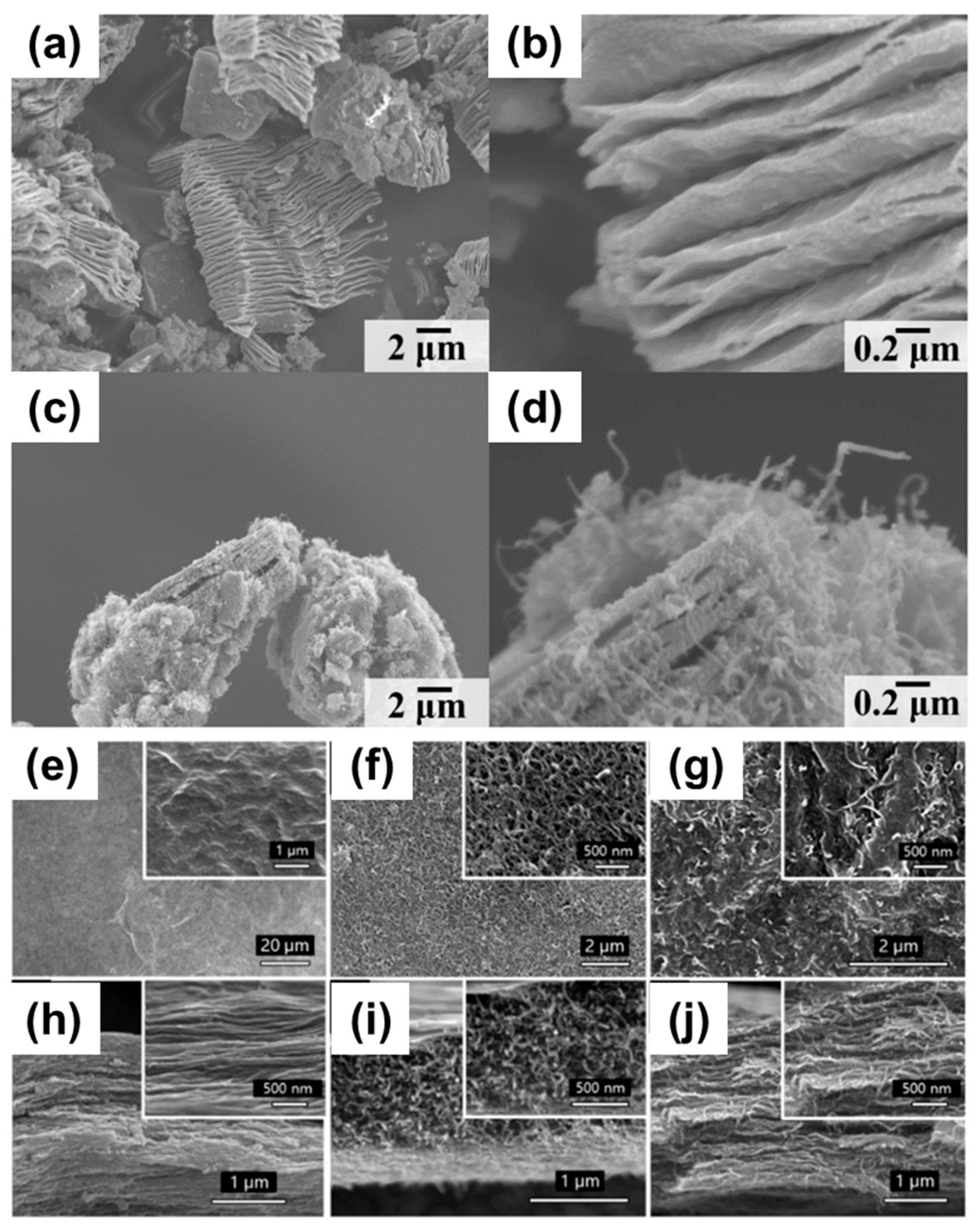 Applsci 13 03290 g005