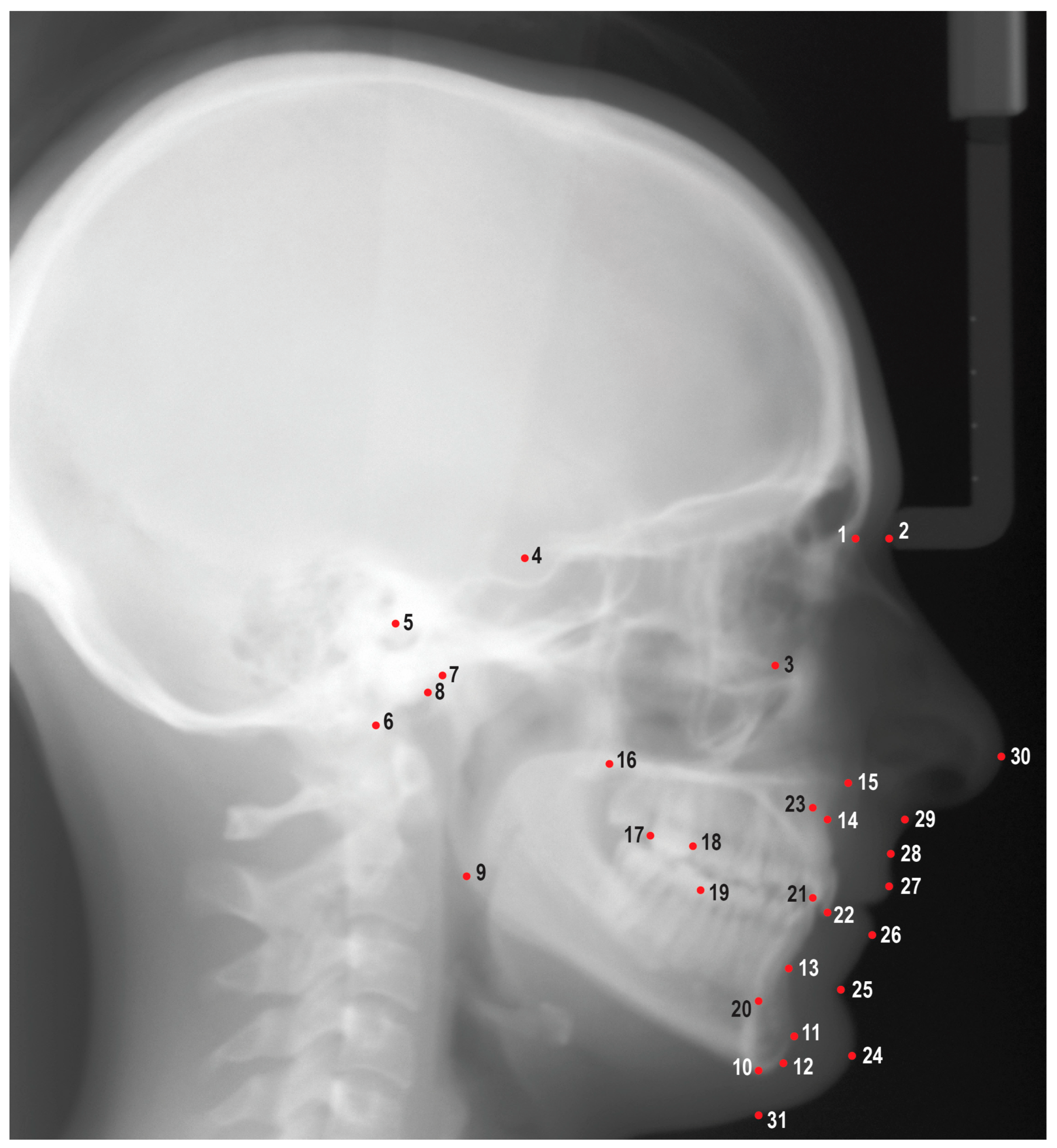 Applsci 13 06921 g001 Applsci 13 06921 g001