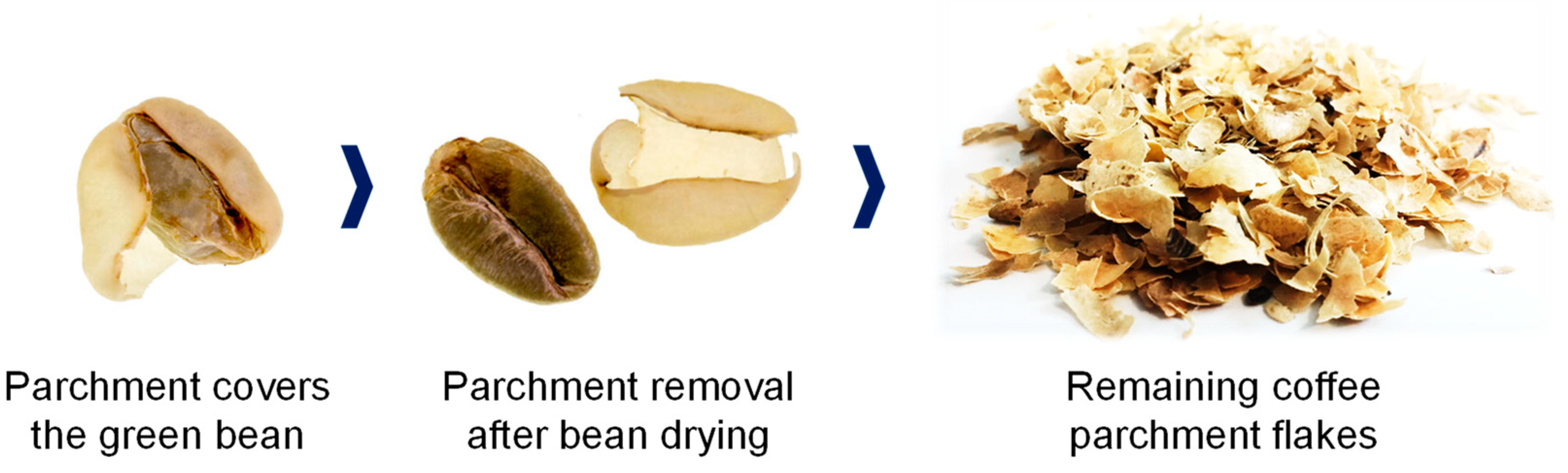 Applsci 13 08326 g005