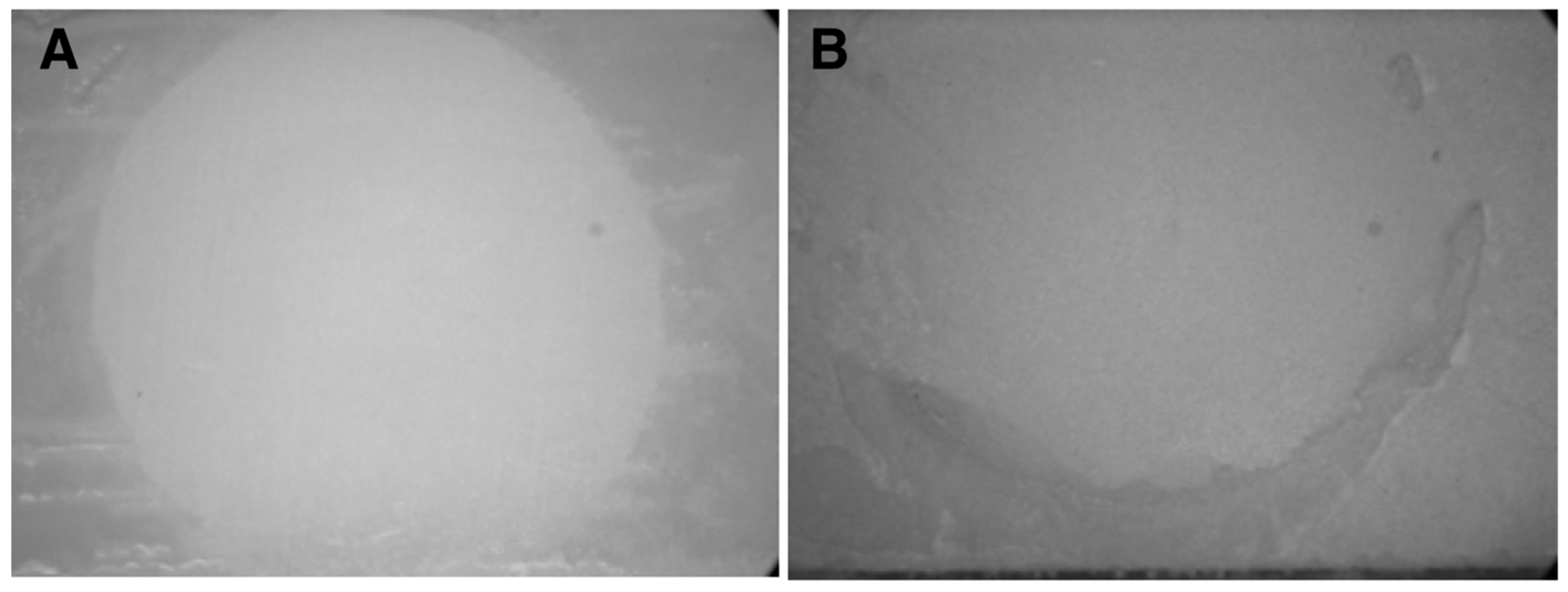 Applsci 13 08369 g003