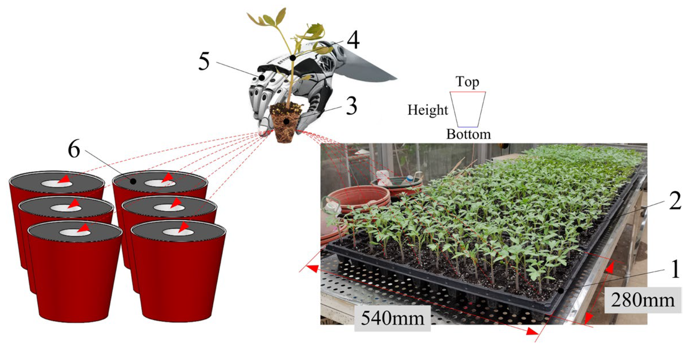 Applsci 13 10022 g001