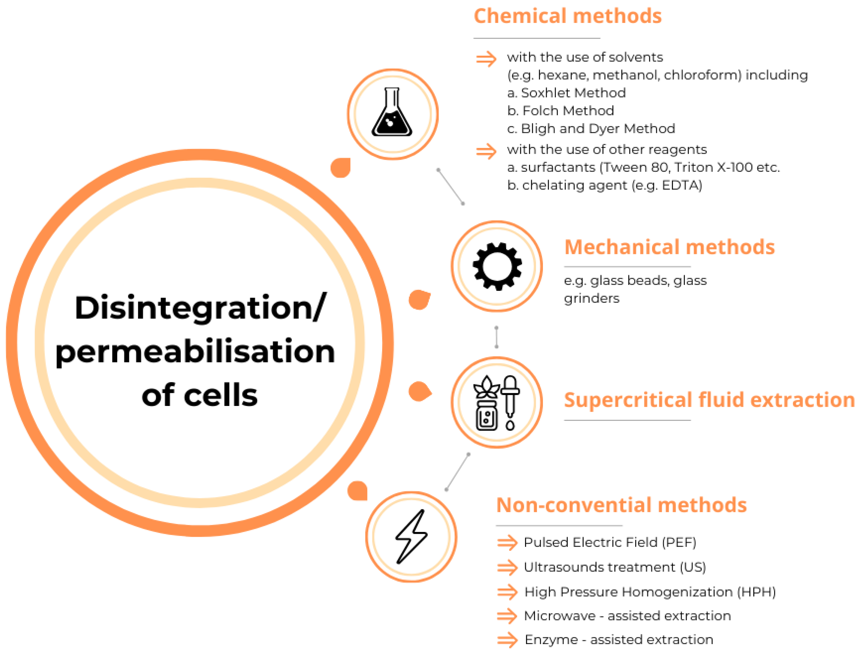 Applsci 13 13135 g001