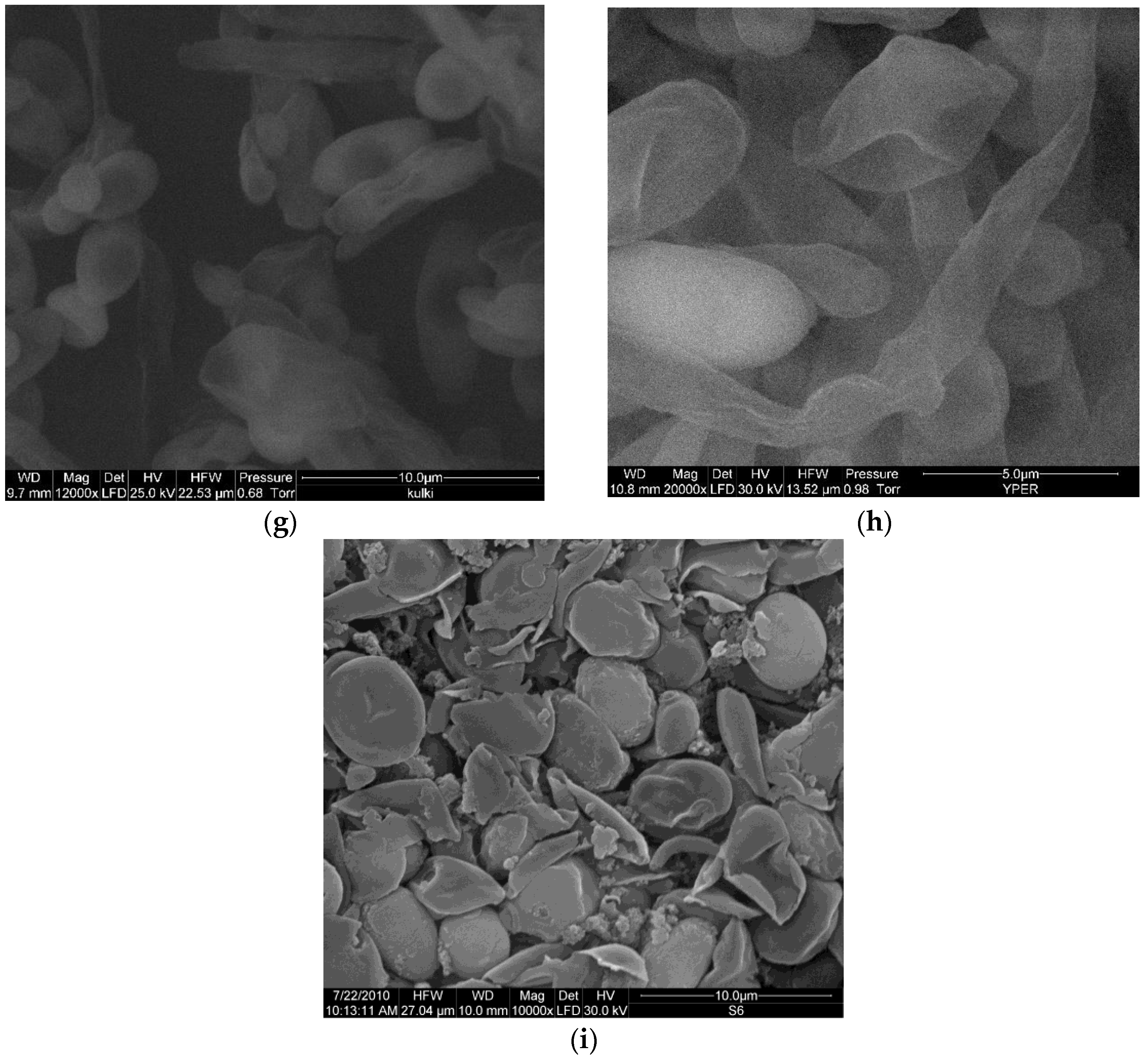 Applsci 13 13135 g008b