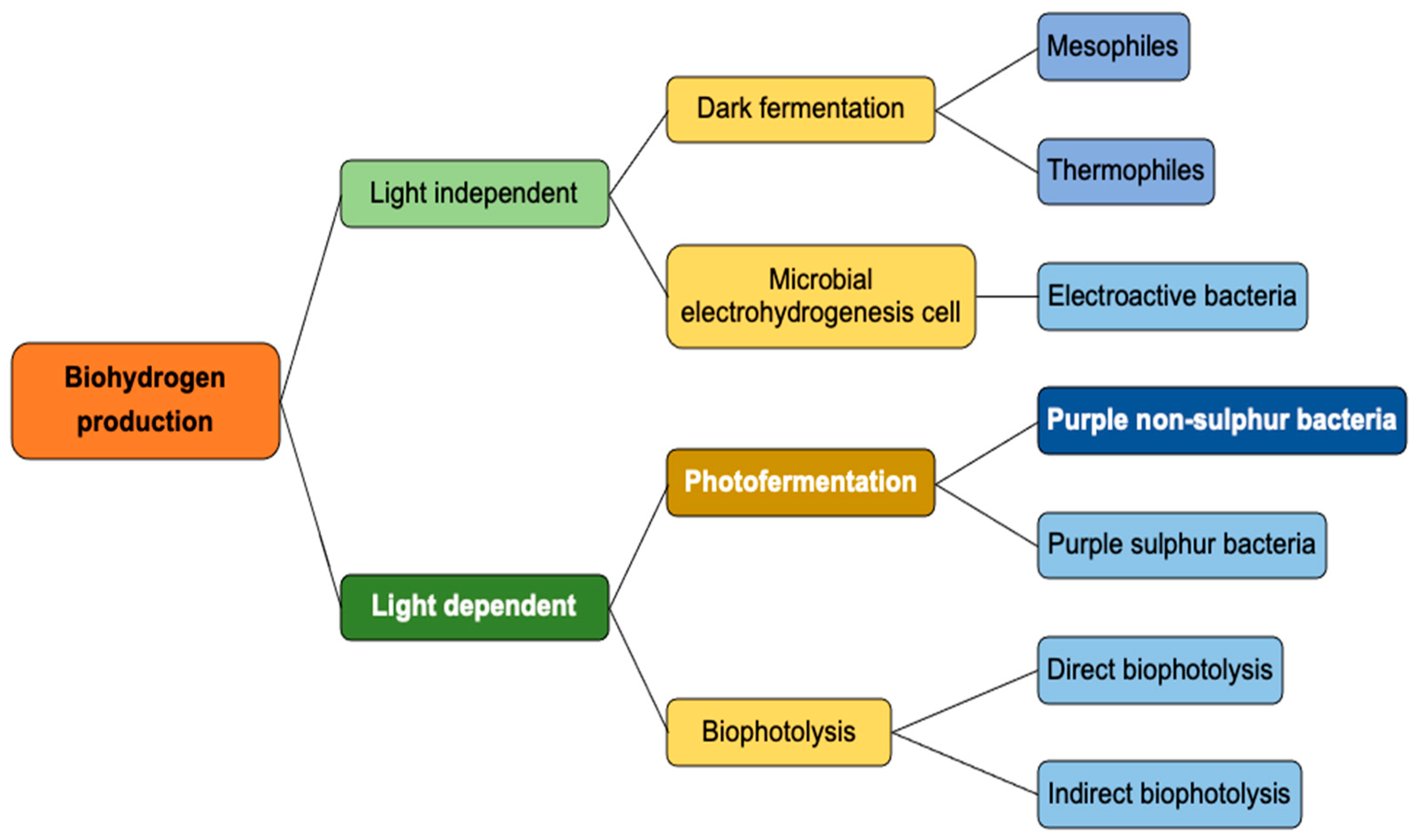 Applsci 14 01191 g001
