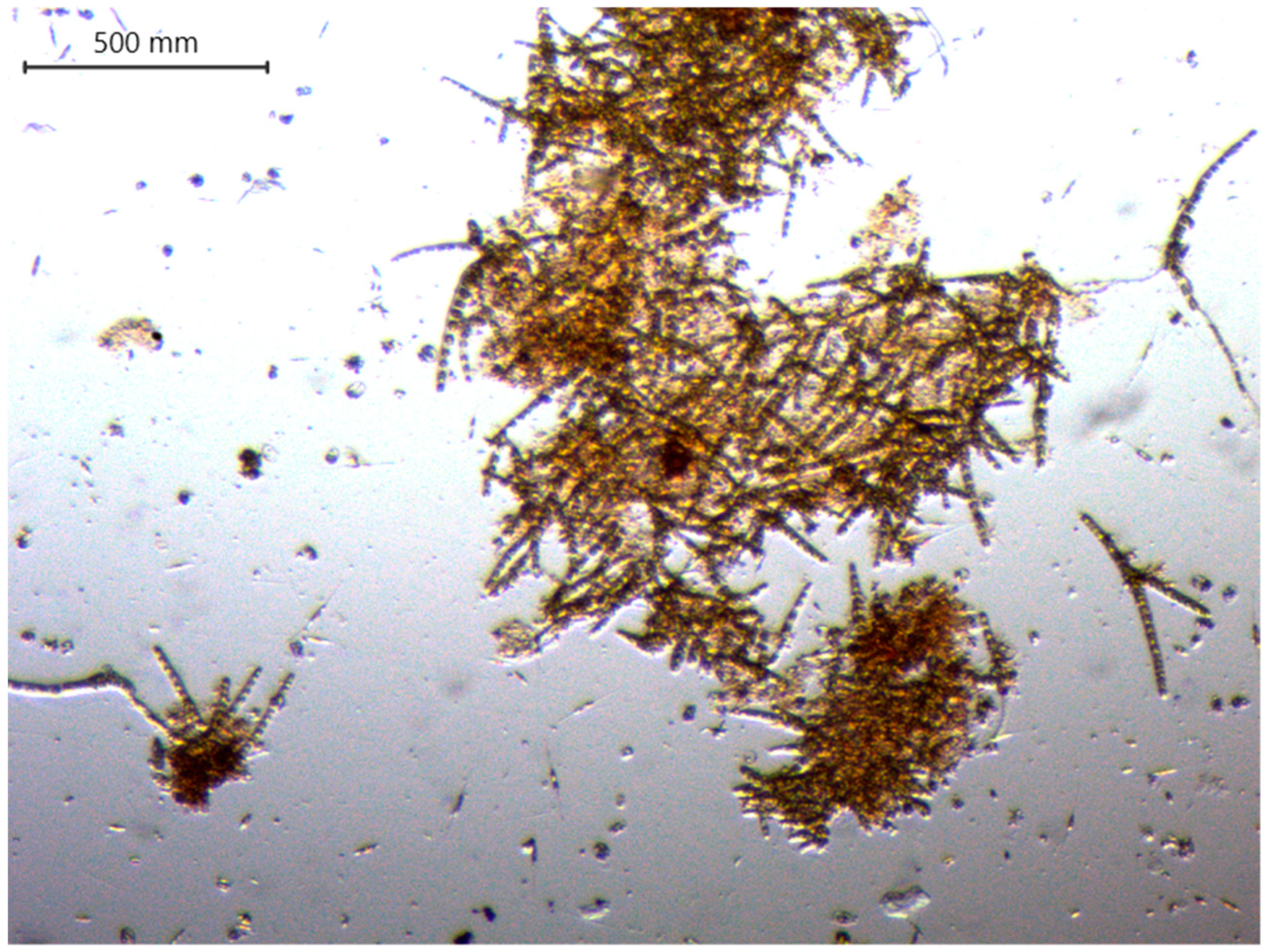 Applsci 14 03448 g003