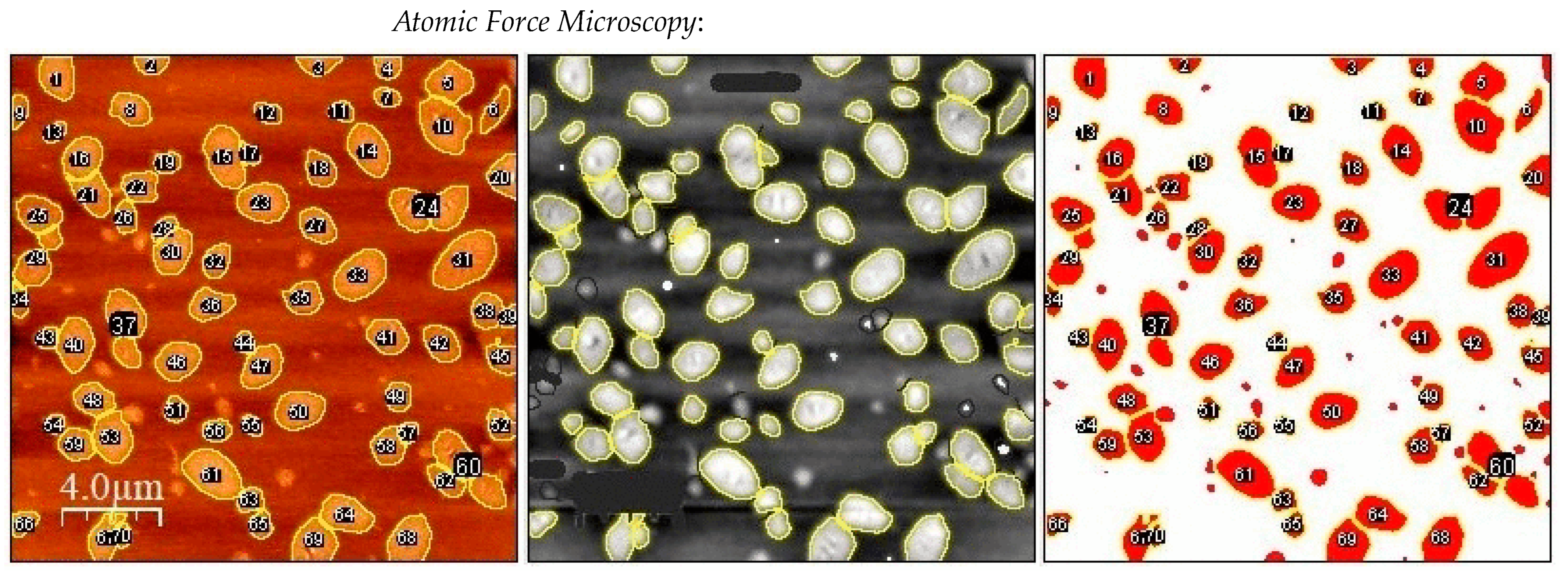 Applsci 14 03567 g005