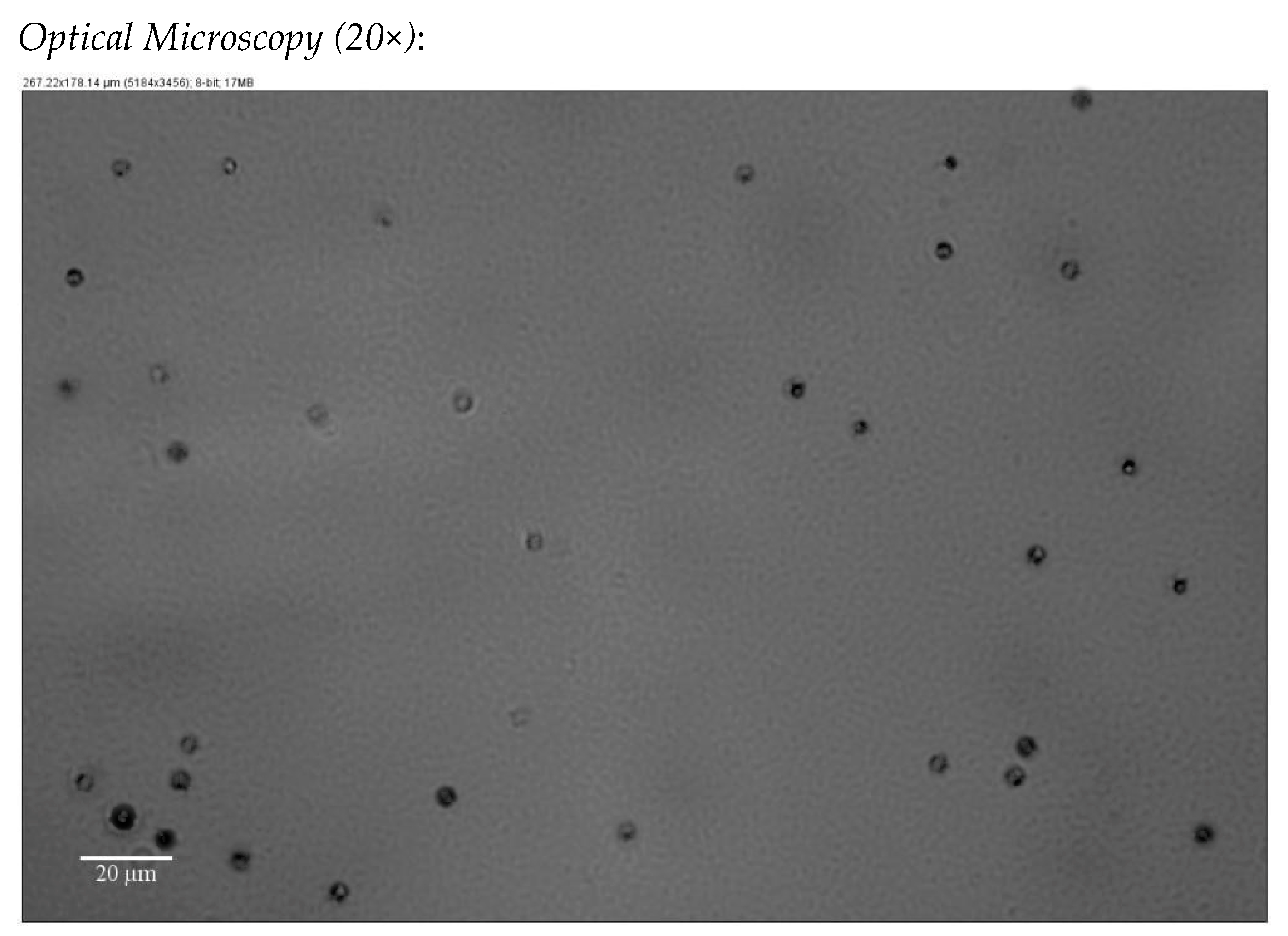 Applsci 14 03567 g006