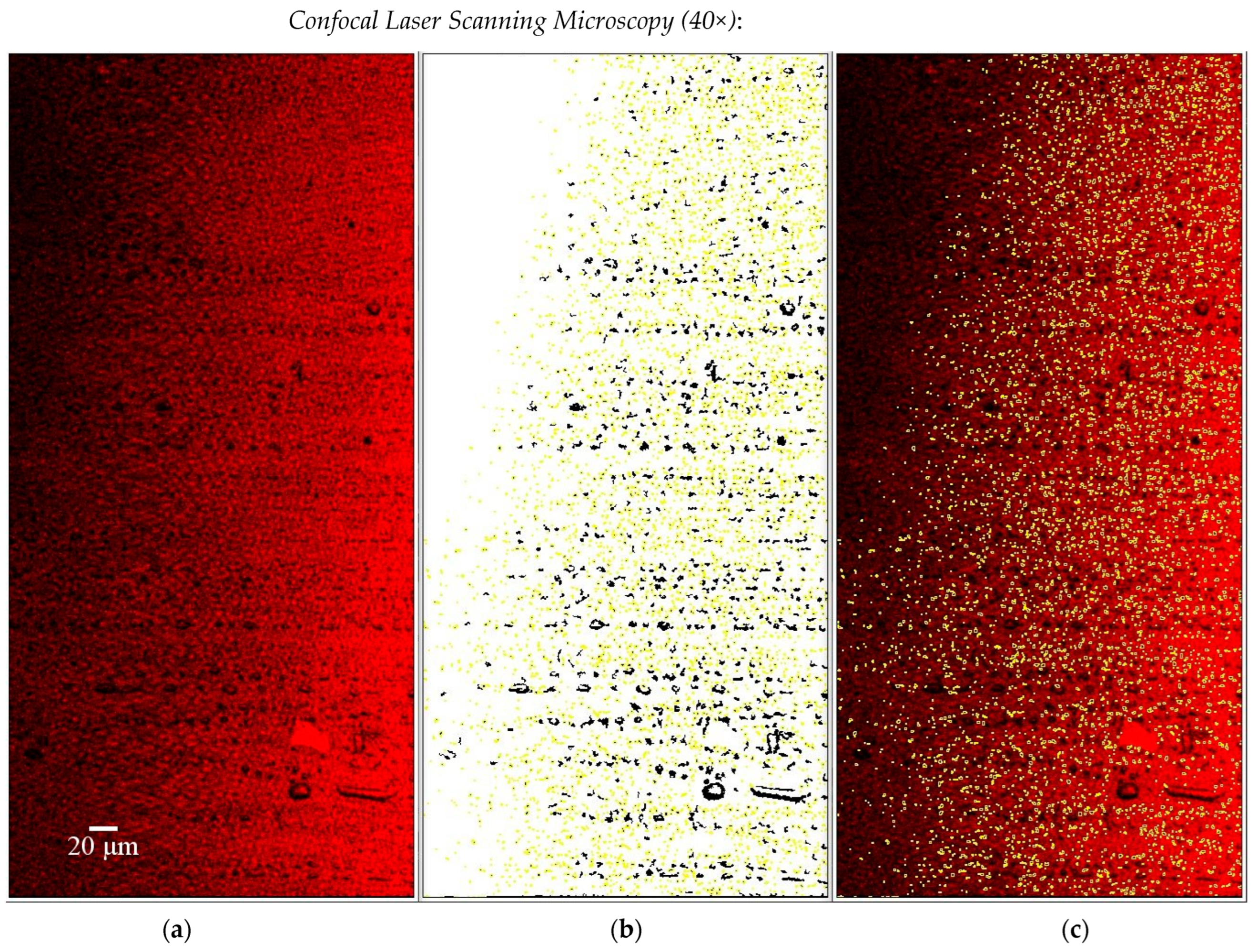 Applsci 14 03567 g007