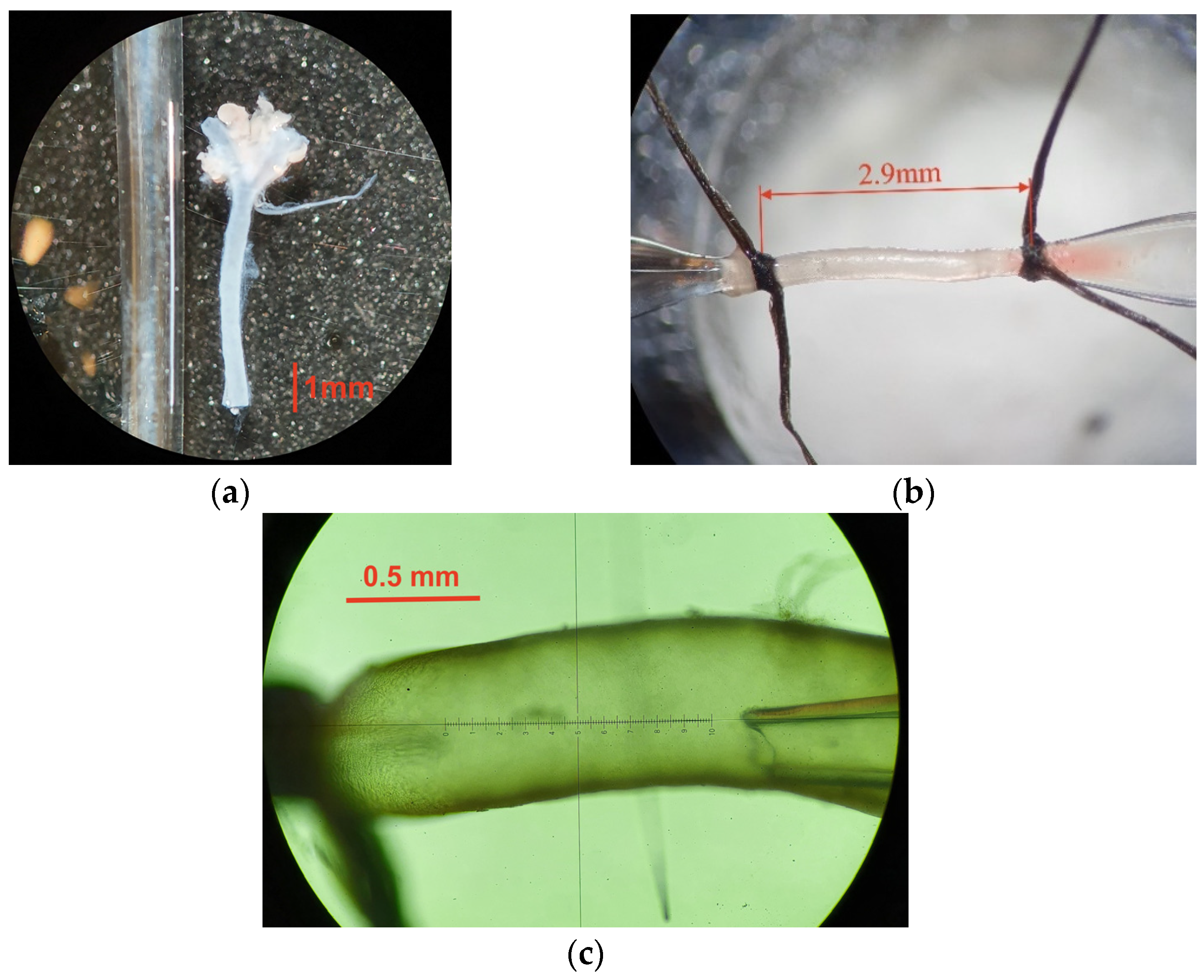 Applsci 14 03571 g001