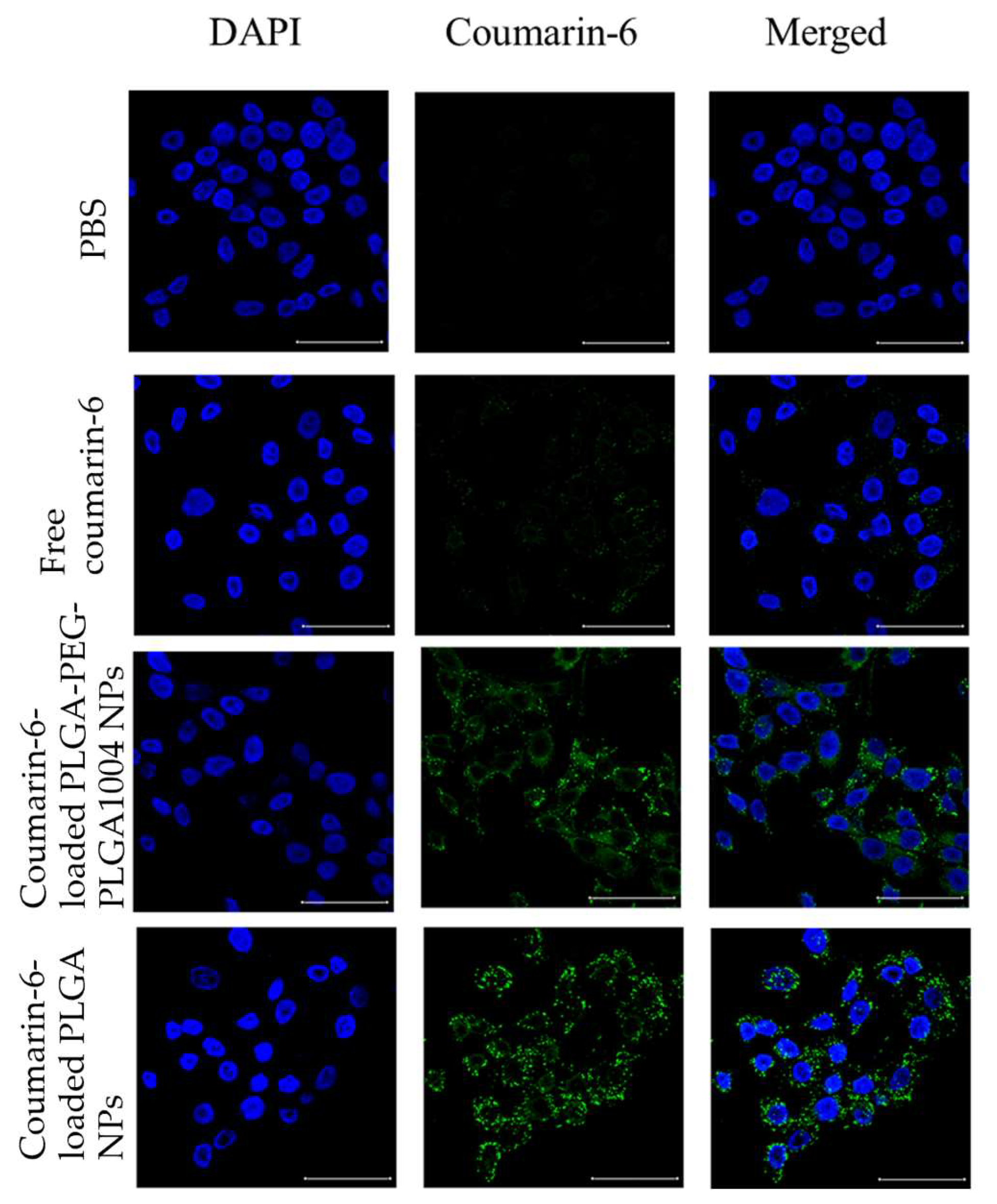 Applsci 14 03791 g001