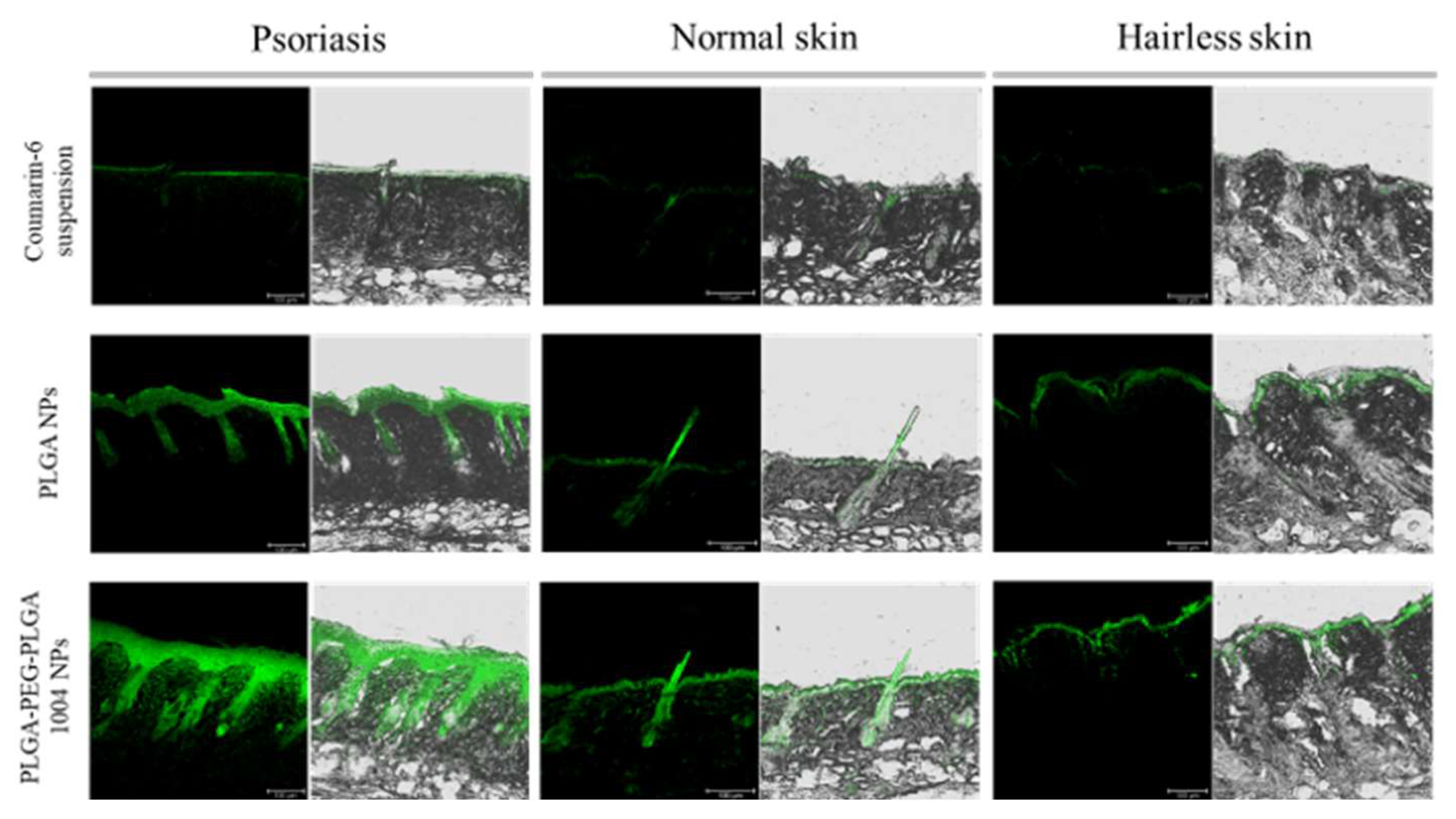 Applsci 14 03791 g005