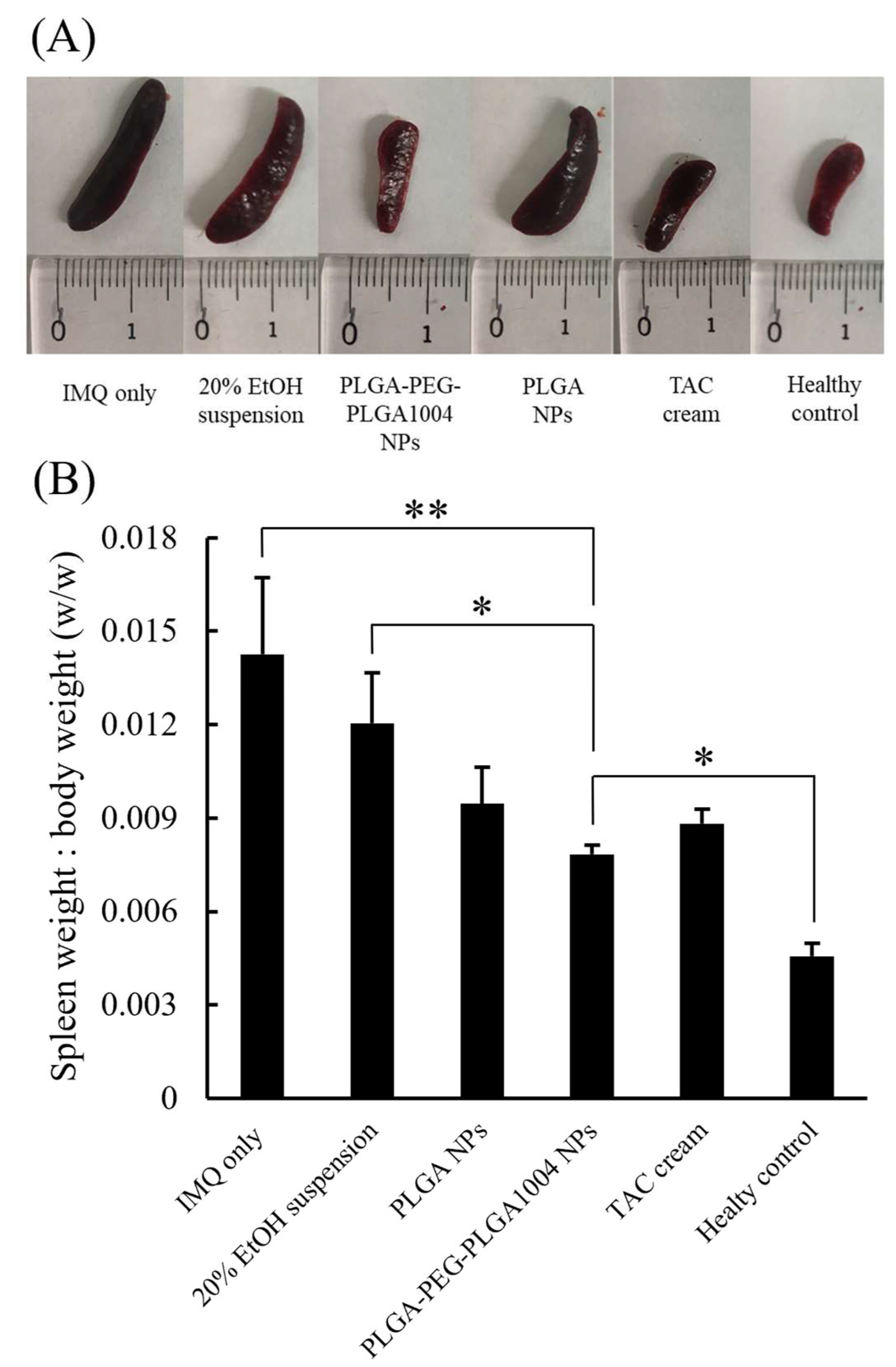 Applsci 14 03791 g007