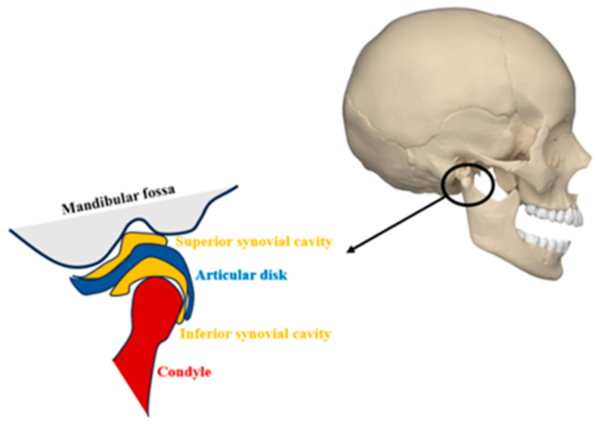 Applsci 14 03813 g001