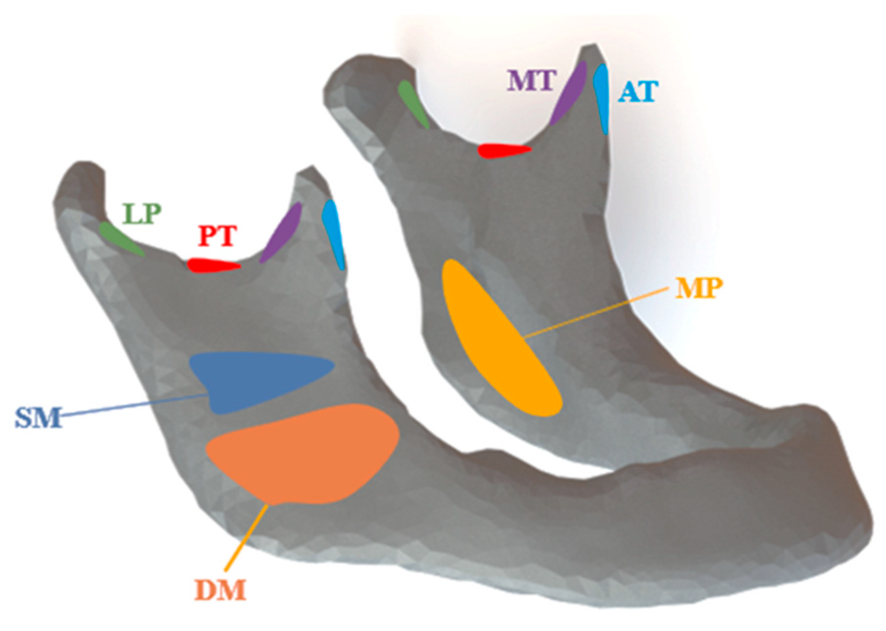 Applsci 14 03813 g004