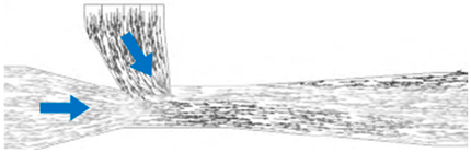 Applsci 14 03884 i002