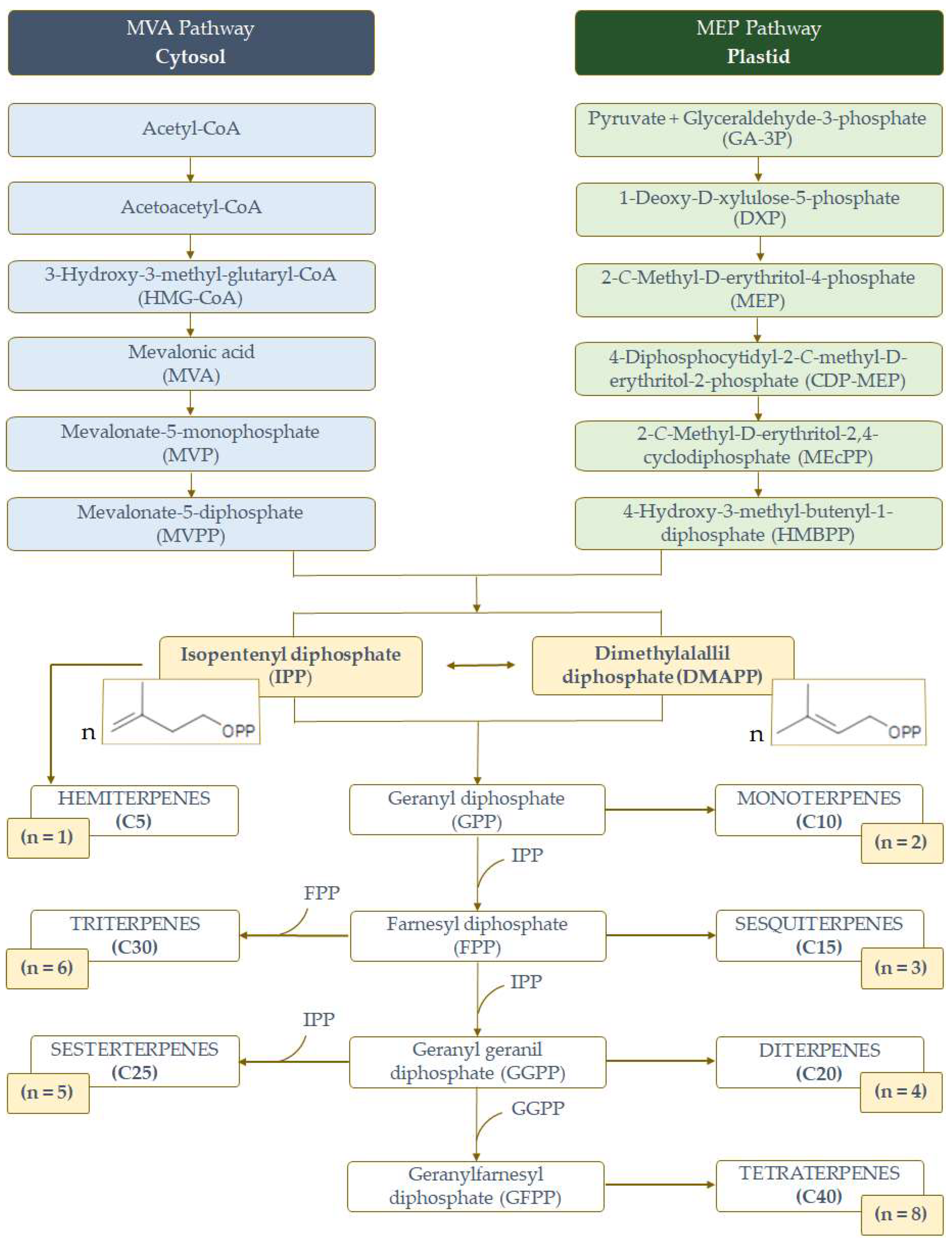Applsci 14 03898 g001