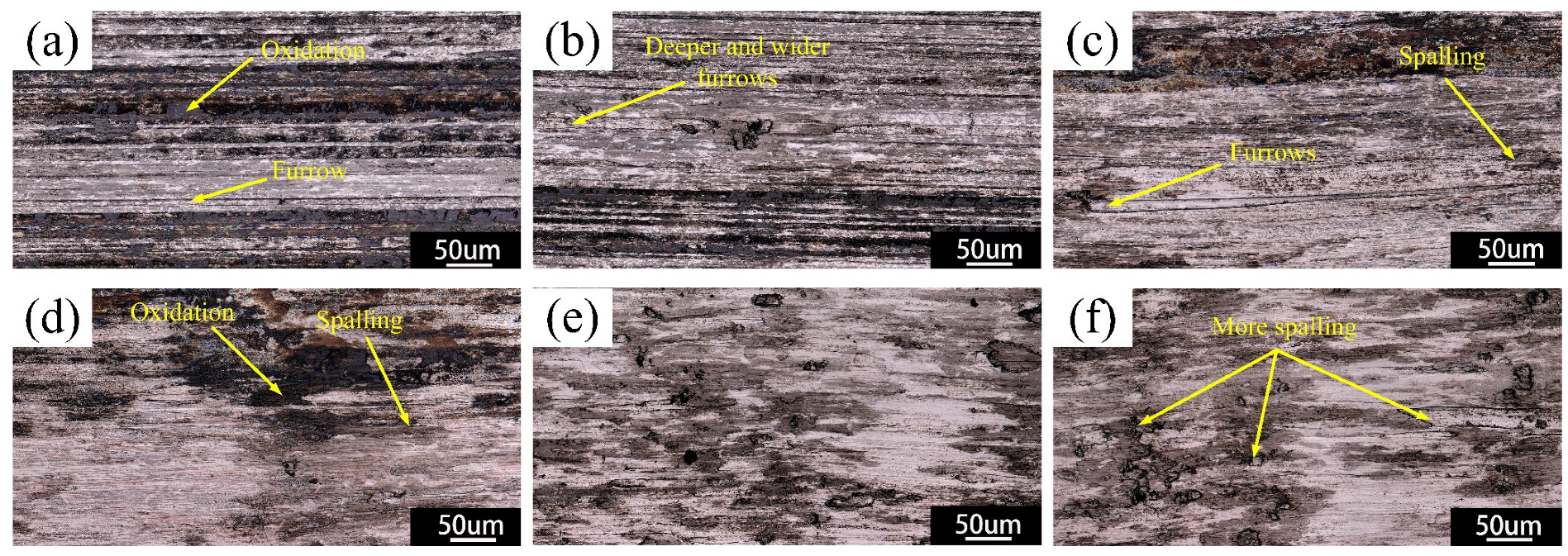 Applsci 14 03962 g012