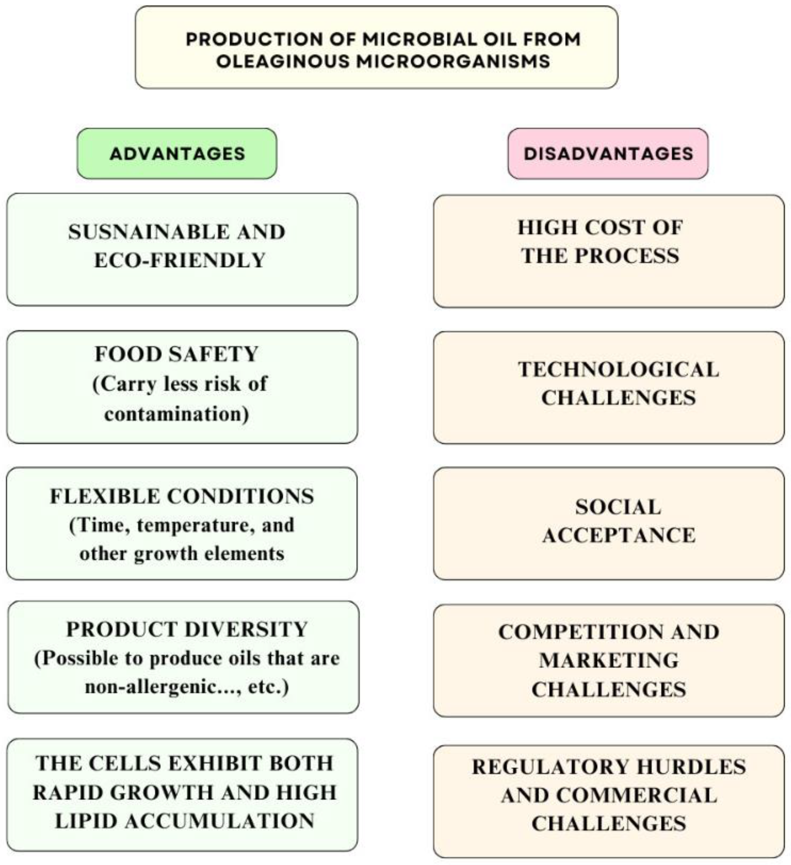 Applsci 14 04232 g002