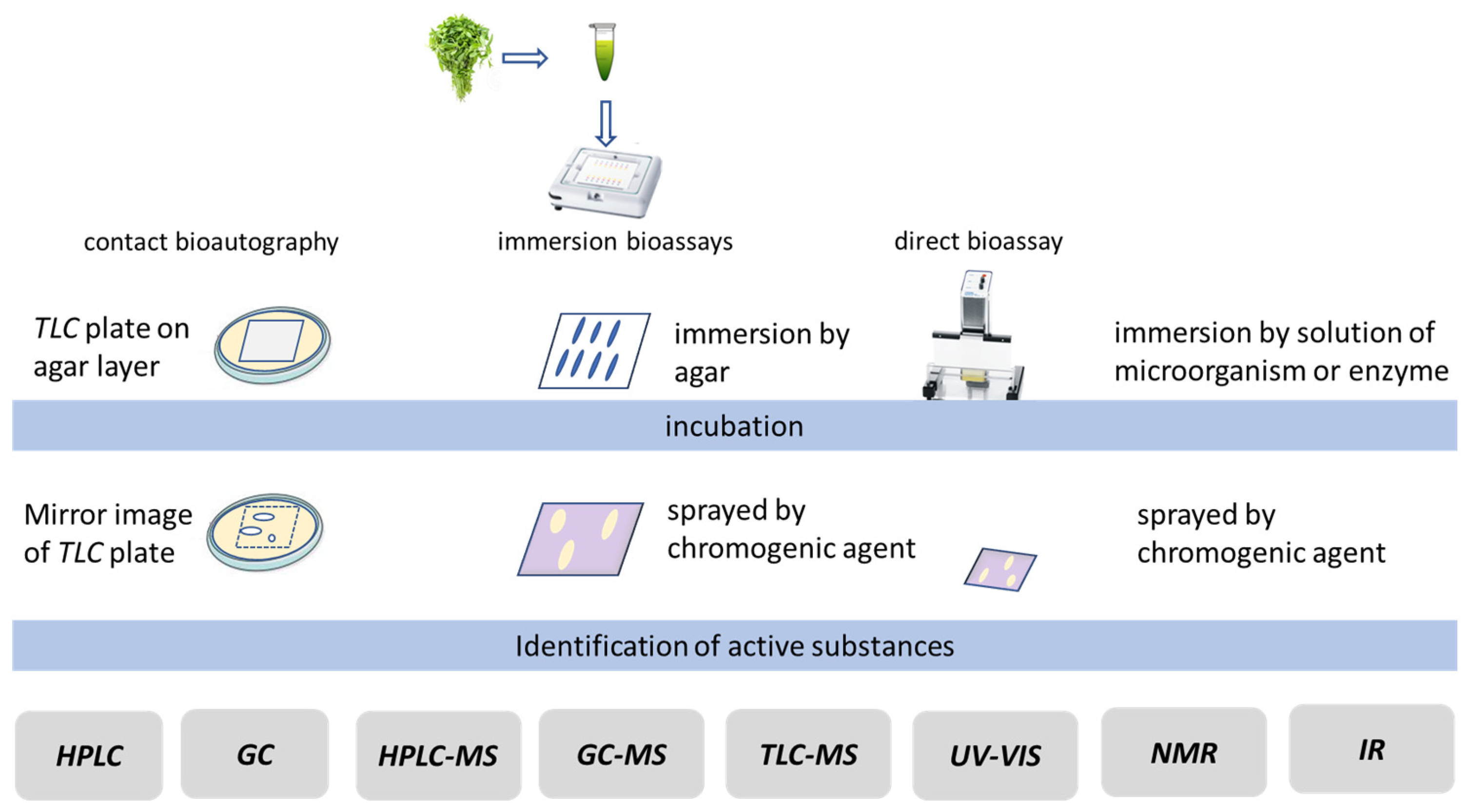 Applsci 14 04265 g007
