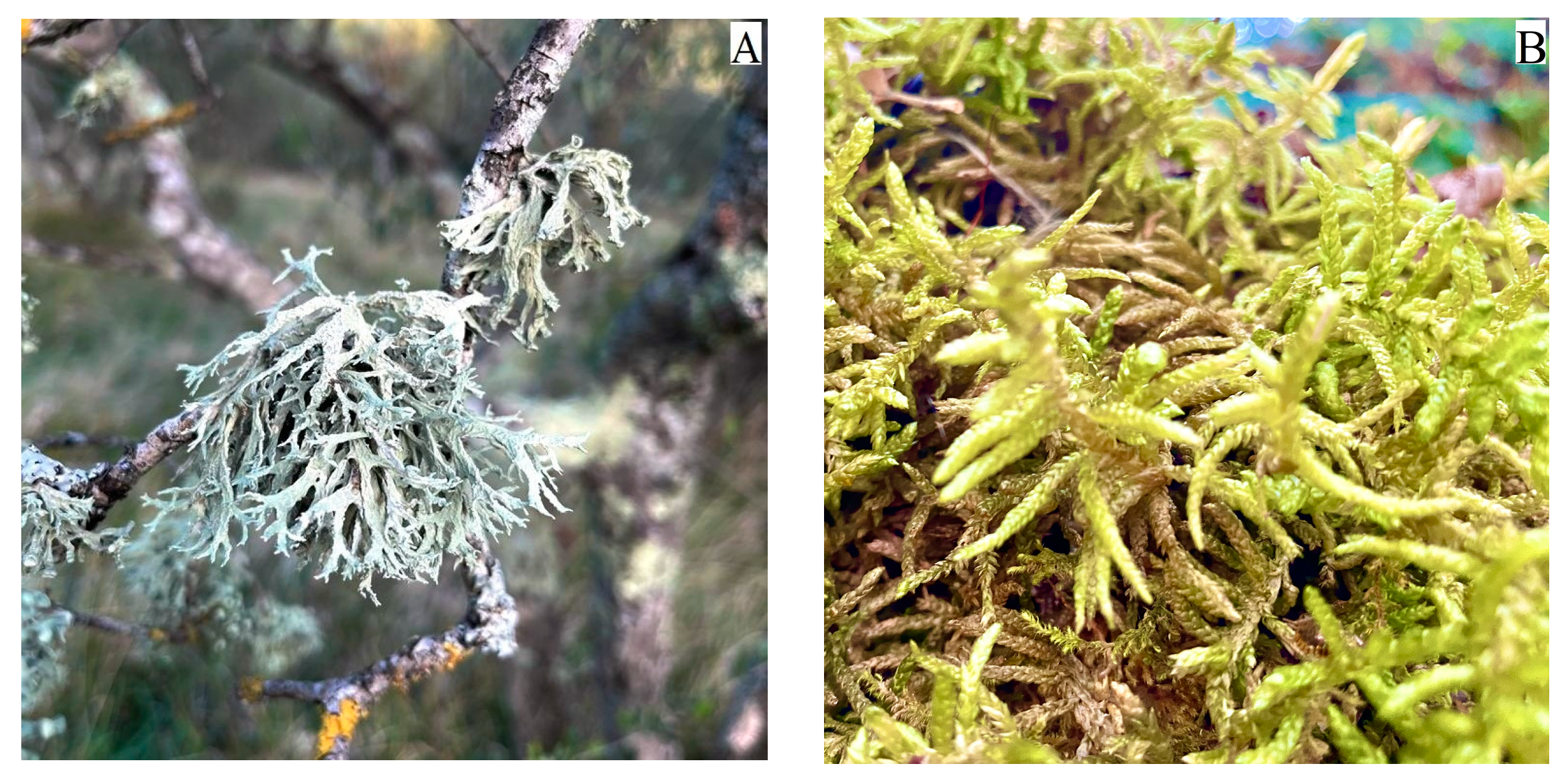 Atmosphere 14 01007 g002