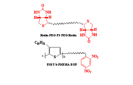 Fabrication of Bioactive Surfaces by Functionalization of Electroactive and Surface-Active Block Copolymers Fabrication of Bioactive Surfaces by Functionalization of Electroactive and Surface-Active Block Copolymers
