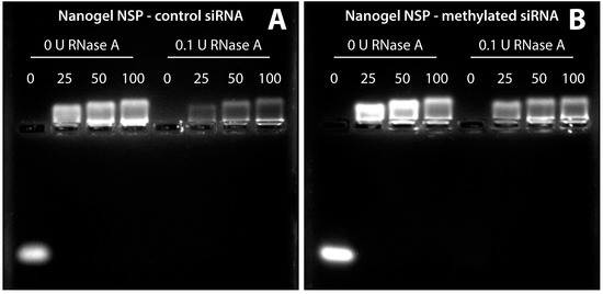 In Vivo GFP Knockdown by Cationic Nanogel-siRNA Polyplexes In Vivo GFP Knockdown by Cationic Nanogel-siRNA Polyplexes