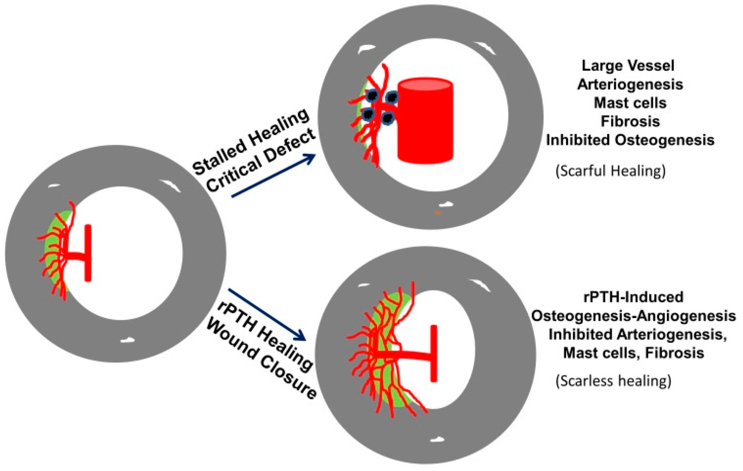 Bioengineering 03 00006 g002