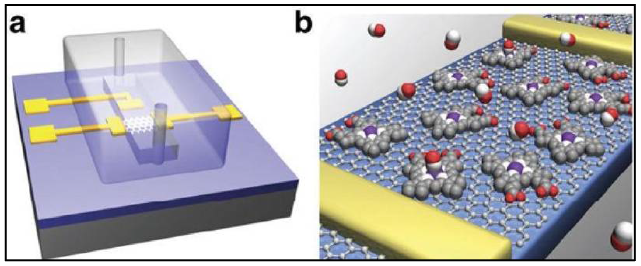 Bioengineering 05 00051 g004 Bioengineering 05 00051 g004