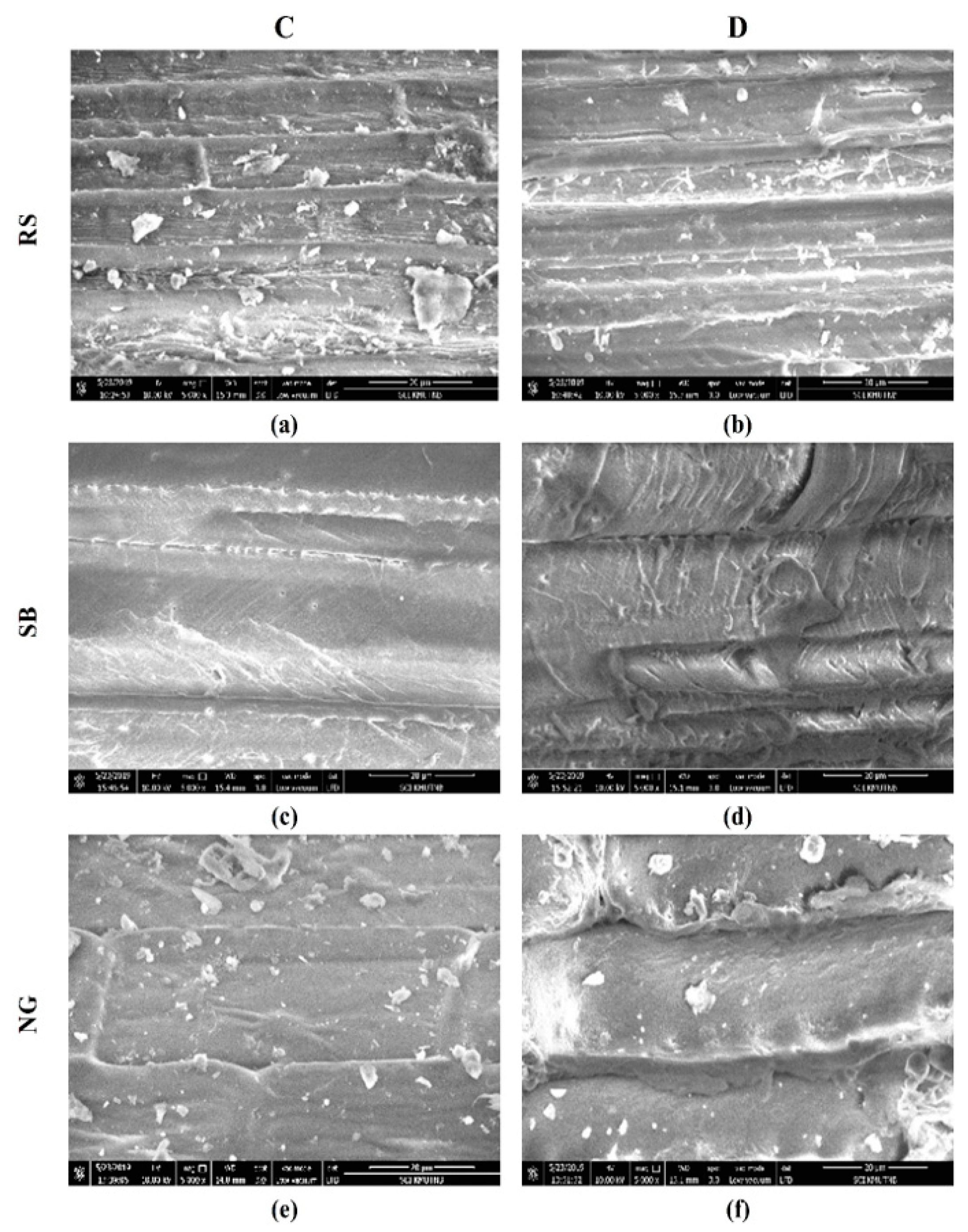 Bioengineering 08 00171 g003