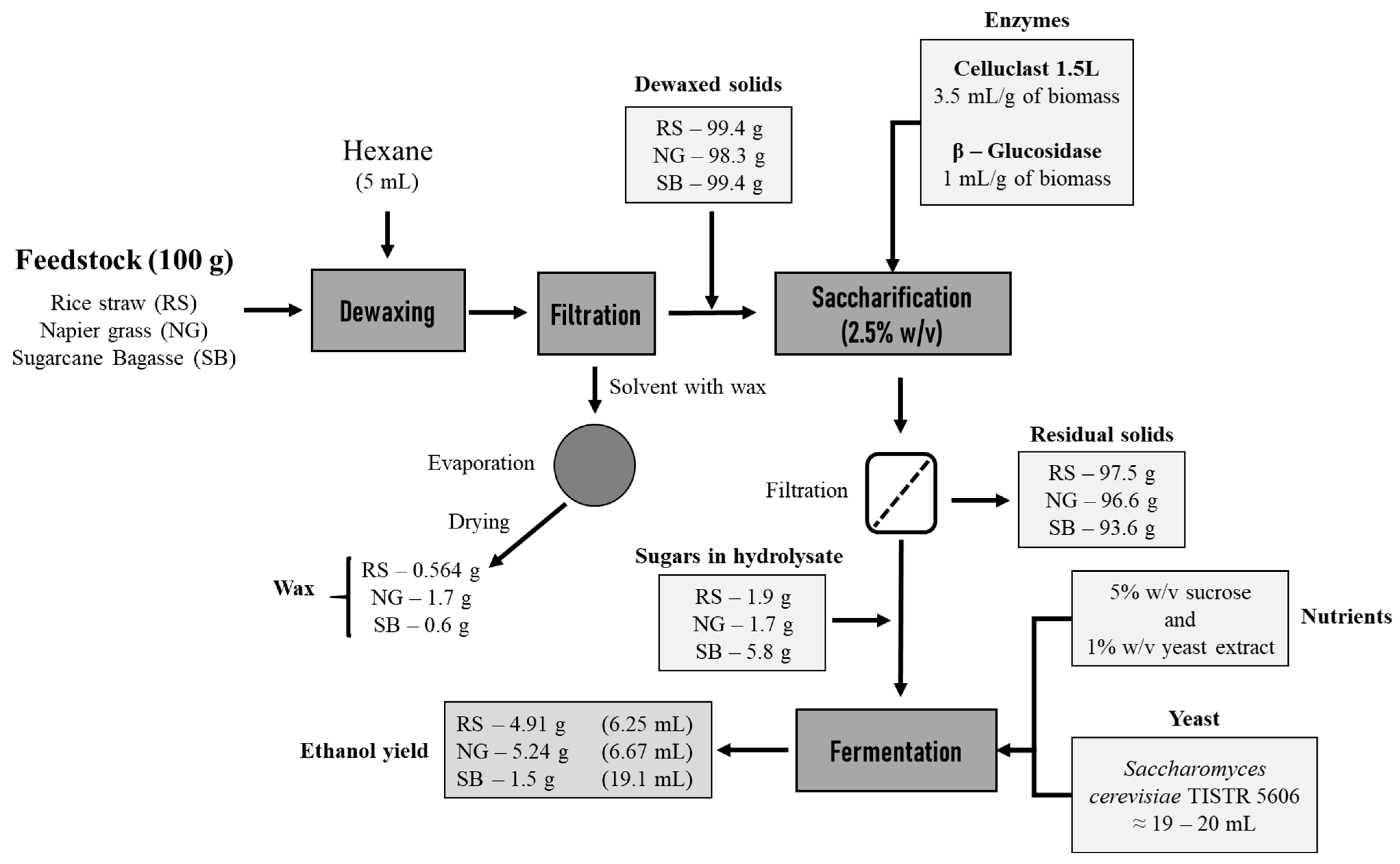 Bioengineering 08 00171 g008