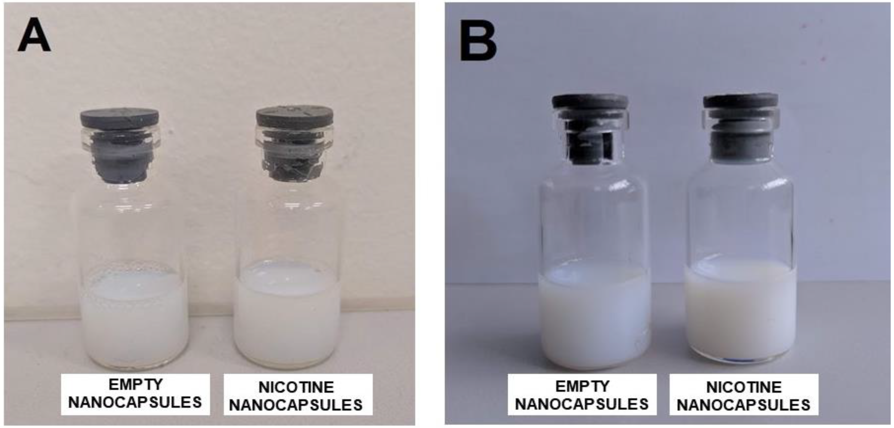 Bioengineering 08 00172 g001
