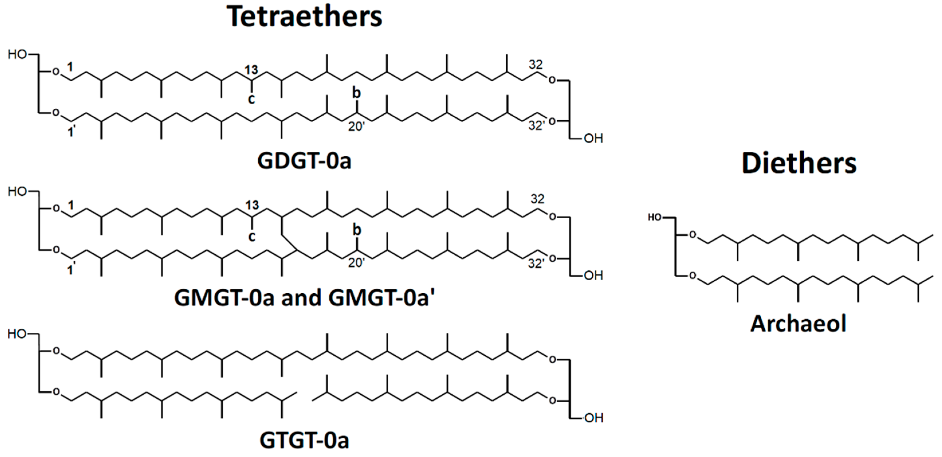 Bioengineering 09 00169 g001