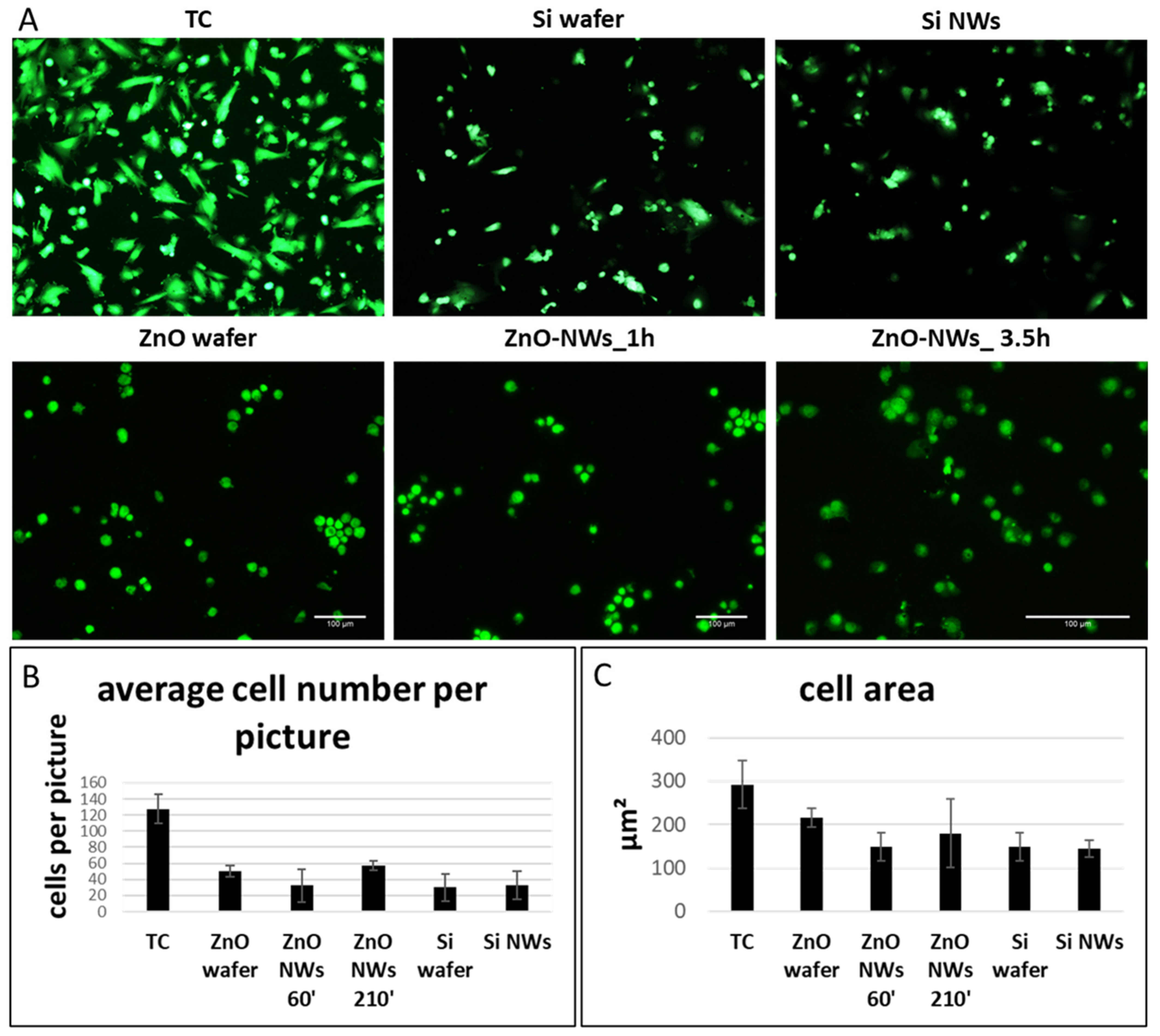 Bioengineering 09 00621 g004